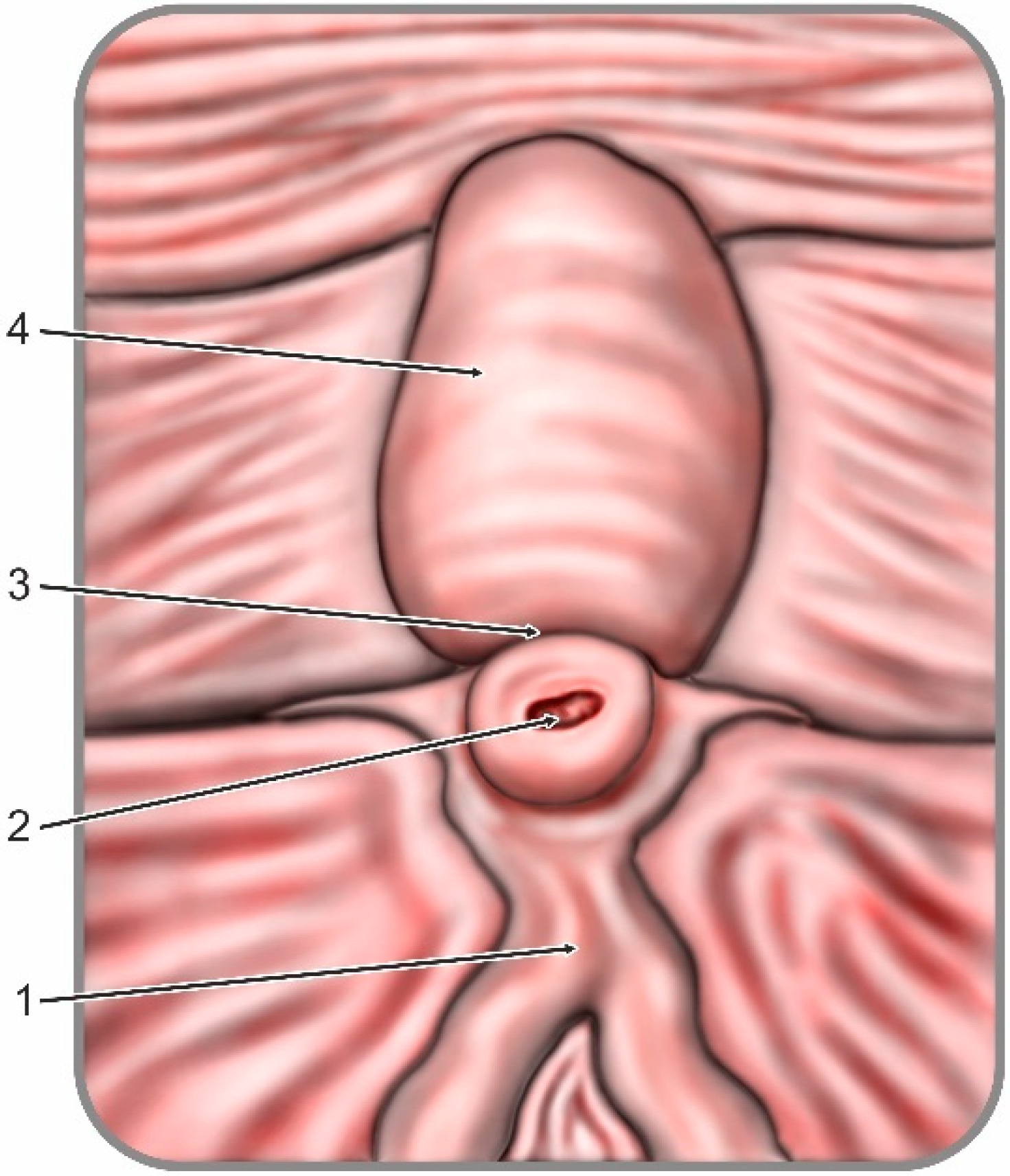 Jcm 09 01637 g001 Jcm 09 01637 g001