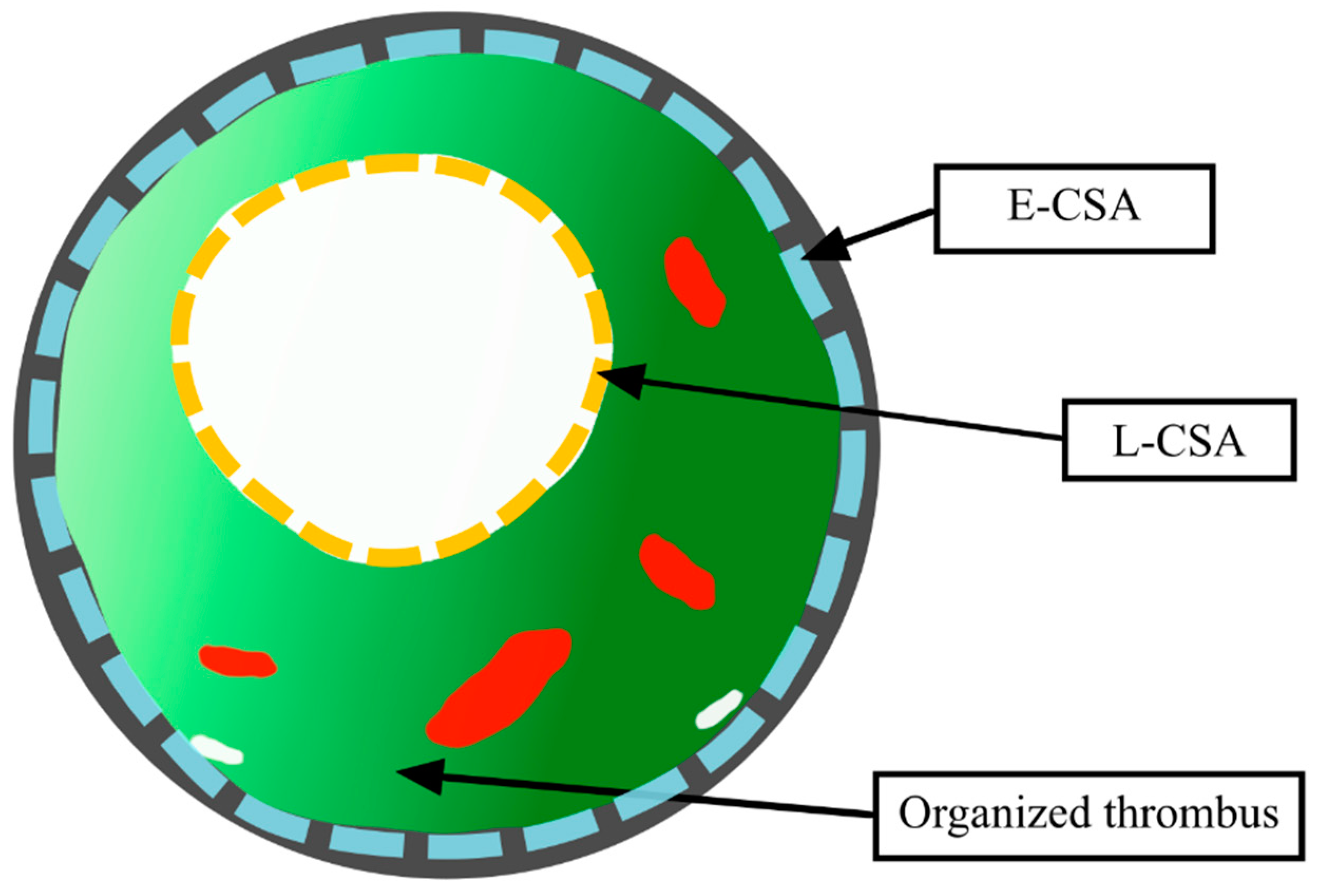 Jcm 09 01655 g001 Jcm 09 01655 g001