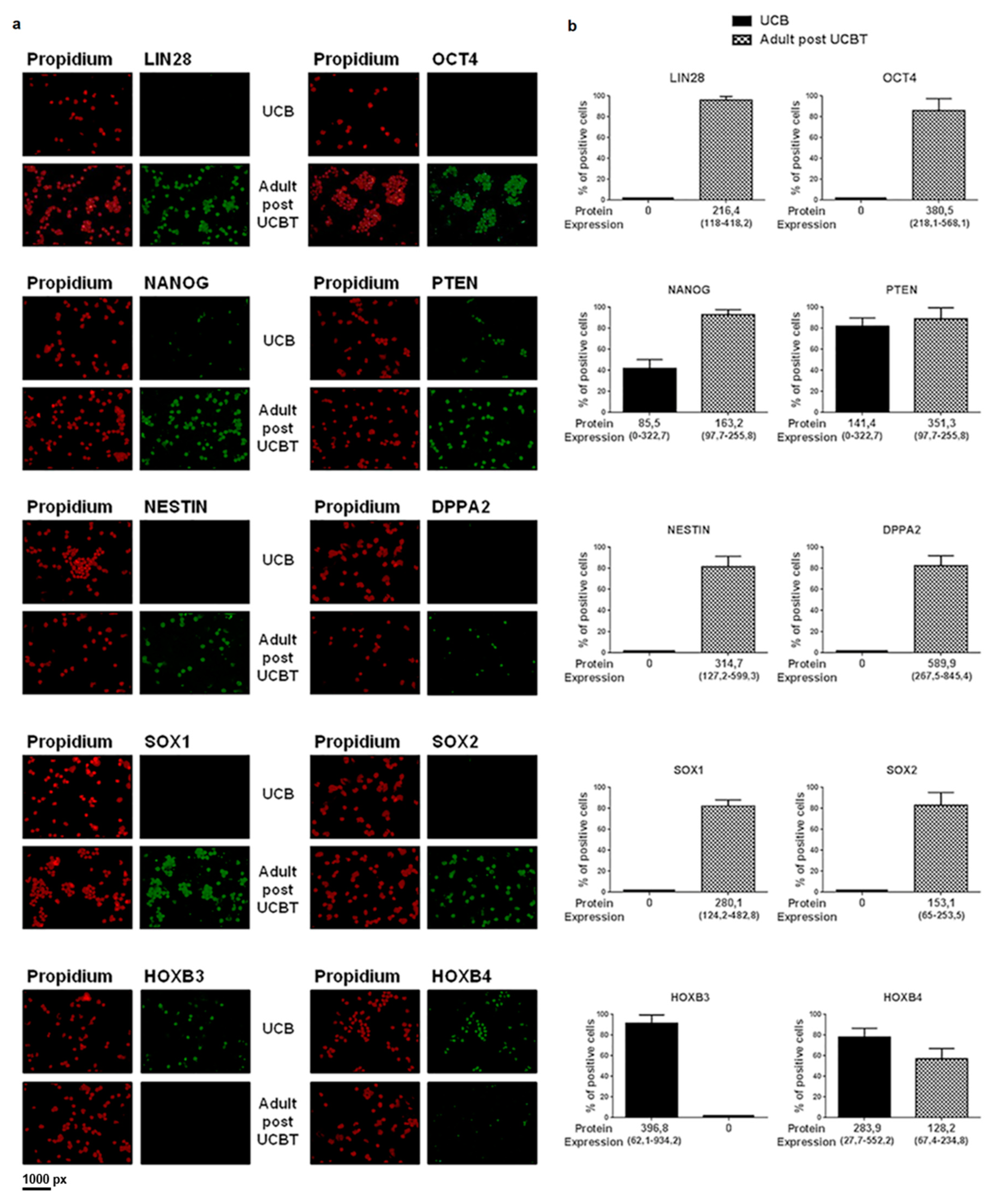 Jcm 09 01670 g003 Jcm 09 01670 g003