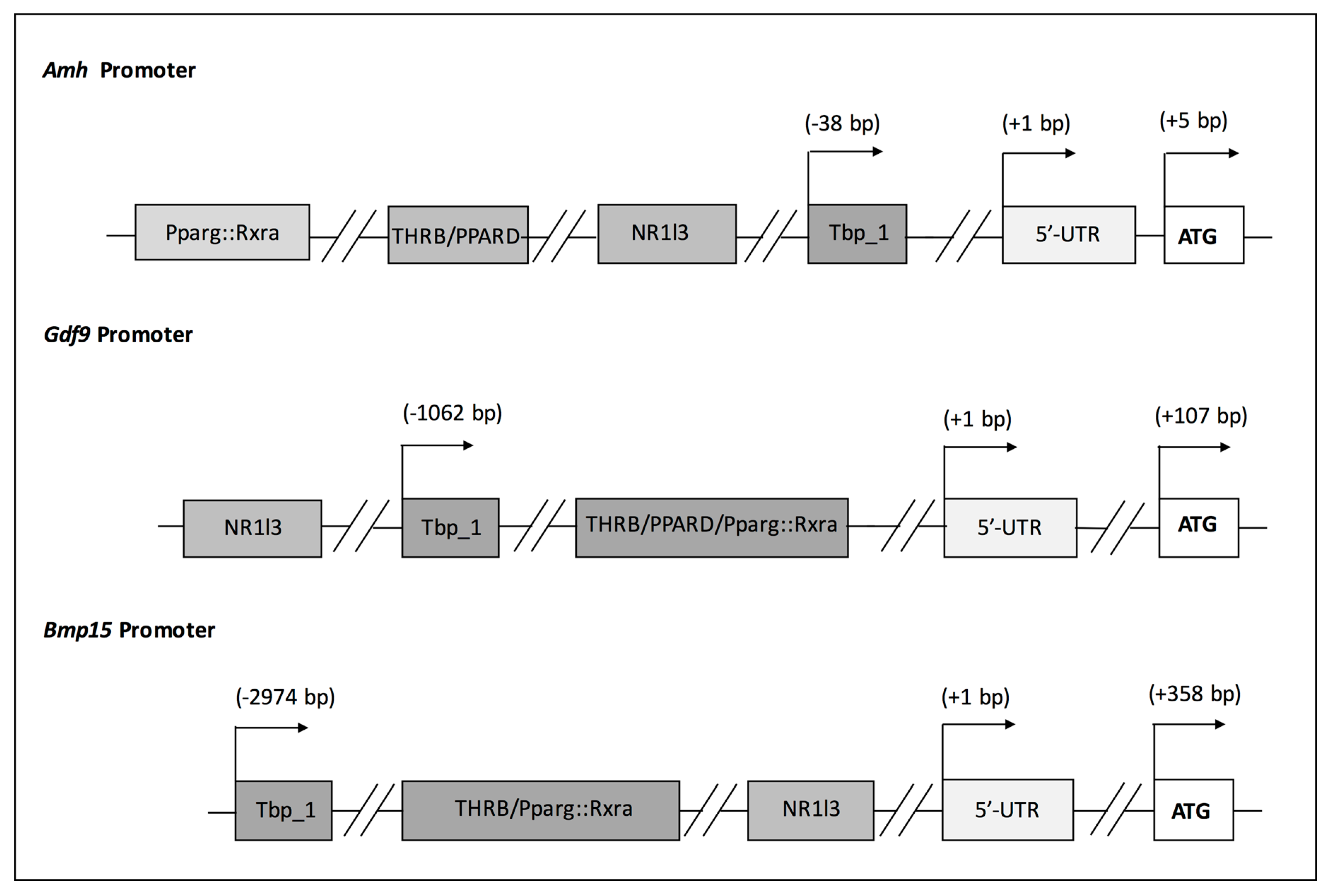 Jcm 09 01679 g002 Jcm 09 01679 g002