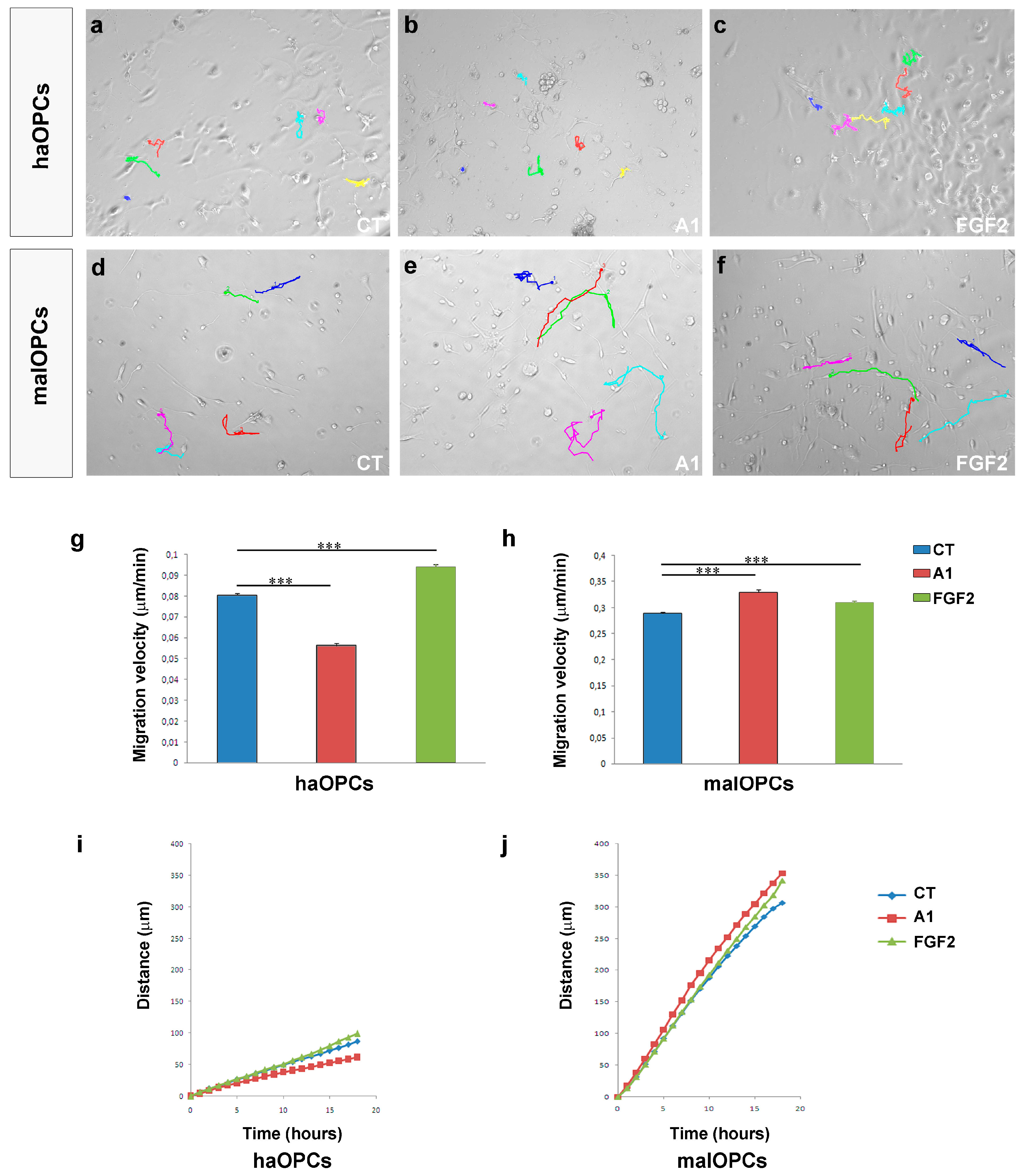 Jcm 09 01681 g005 Jcm 09 01681 g005