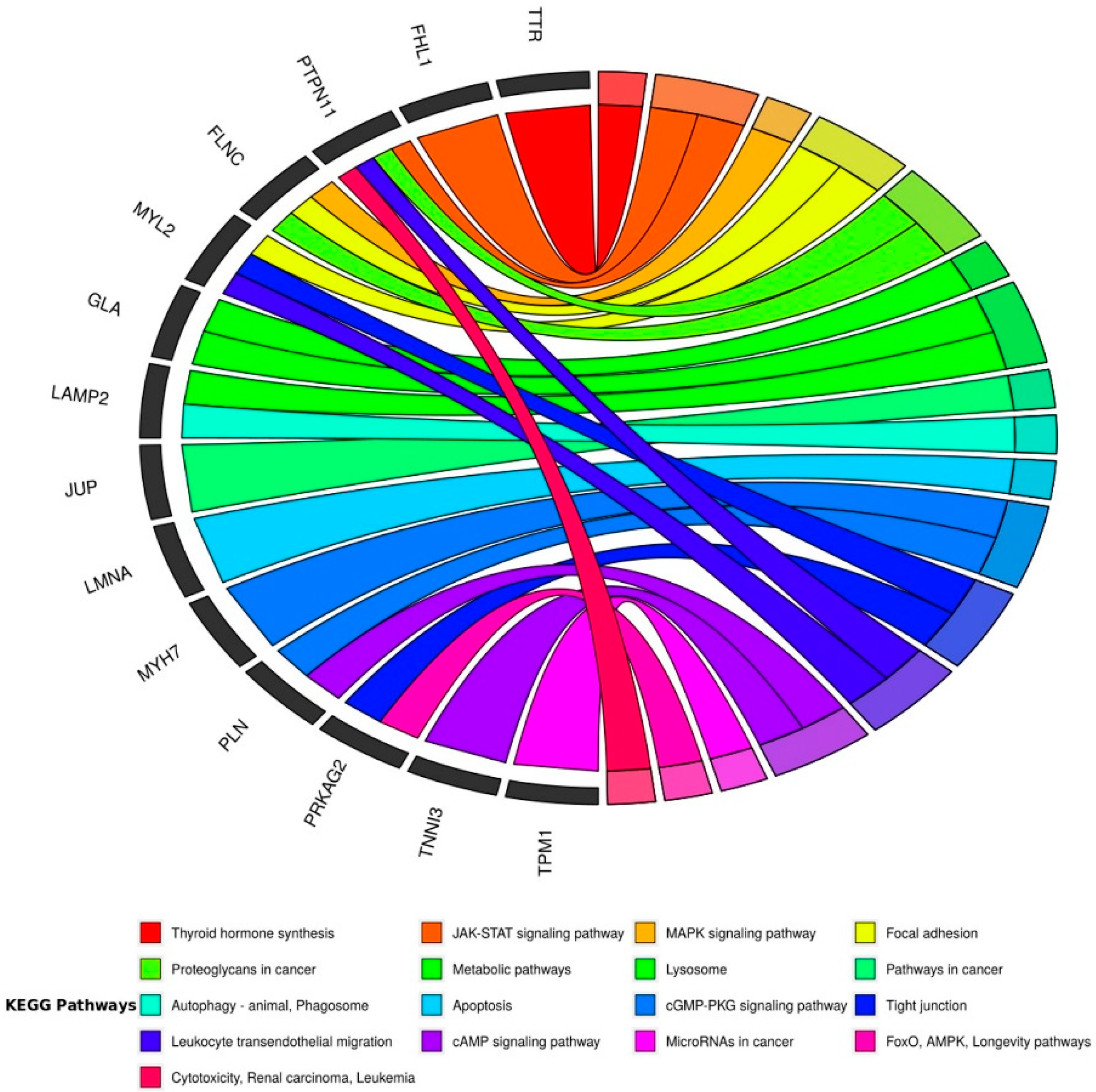Jcm 09 01702 g005 Jcm 09 01702 g005