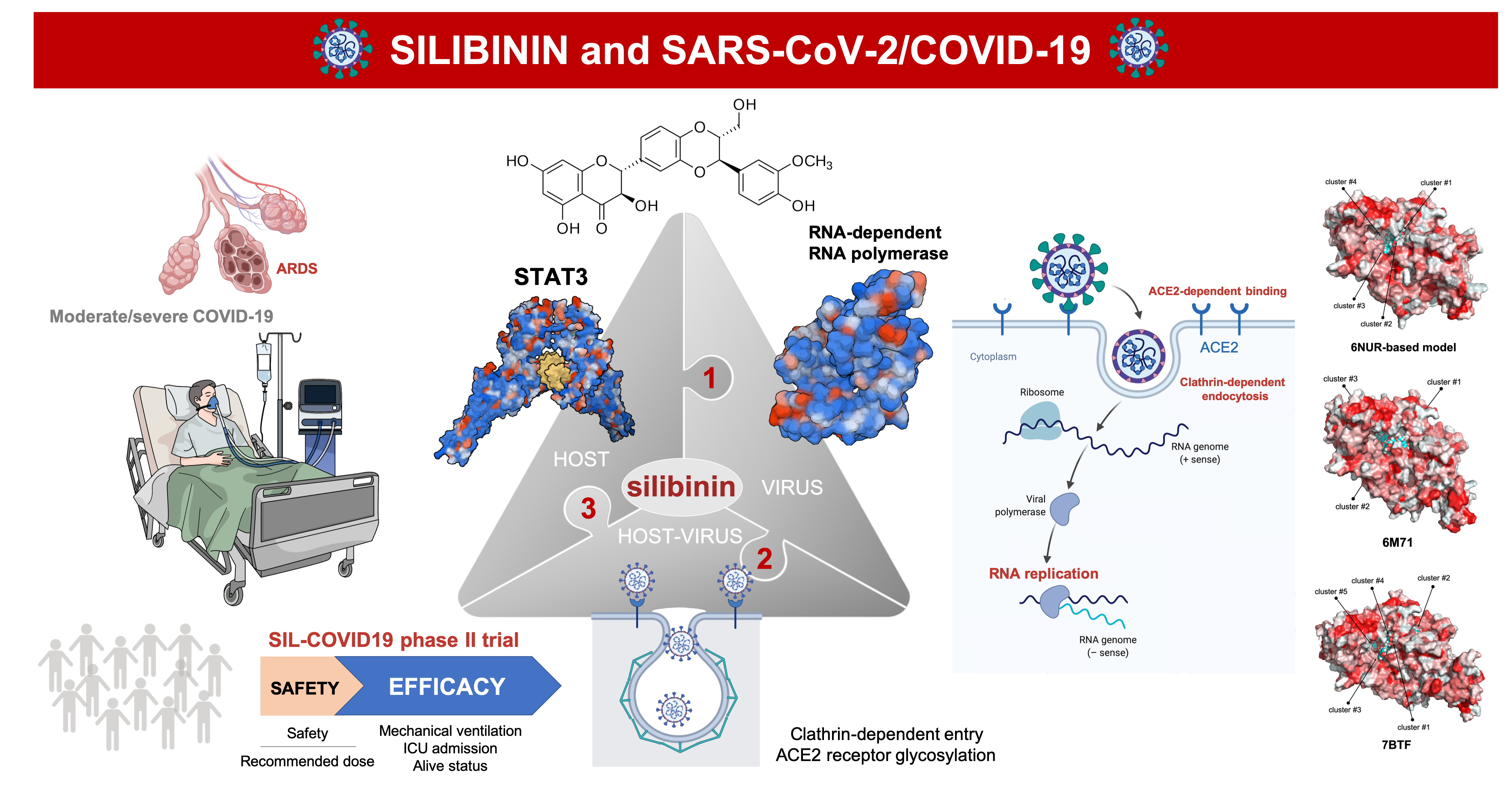 Вирус sars cov 2 отнесен к группе