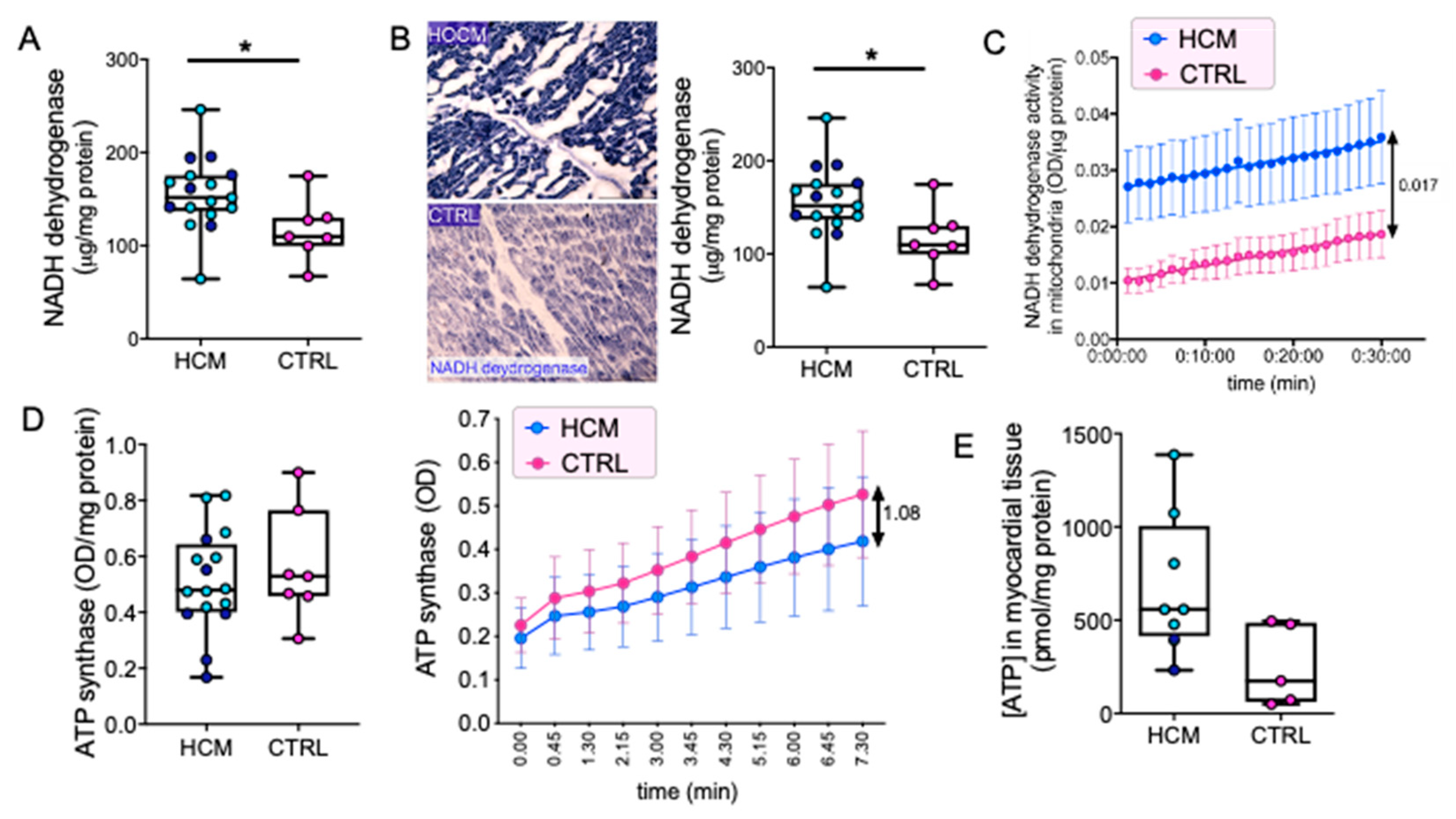 Jcm Free Full Text Mitochondrial Energetics And Ca2 Activated Atpase In Obstructive Hypertrophic Cardiomyopathy Html