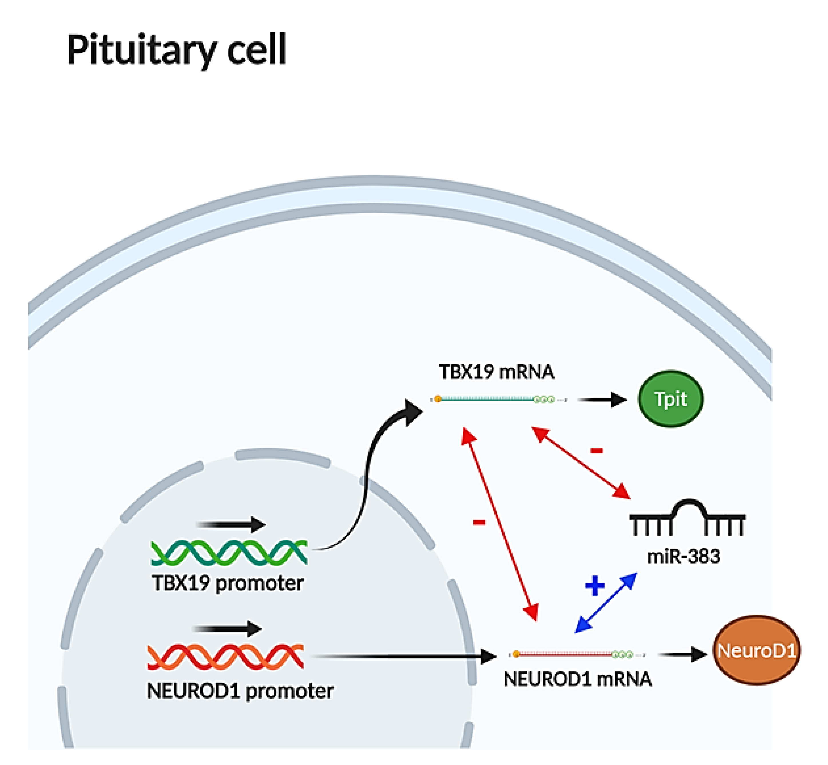 Jcm 09 01838 g003 Jcm 09 01838 g003