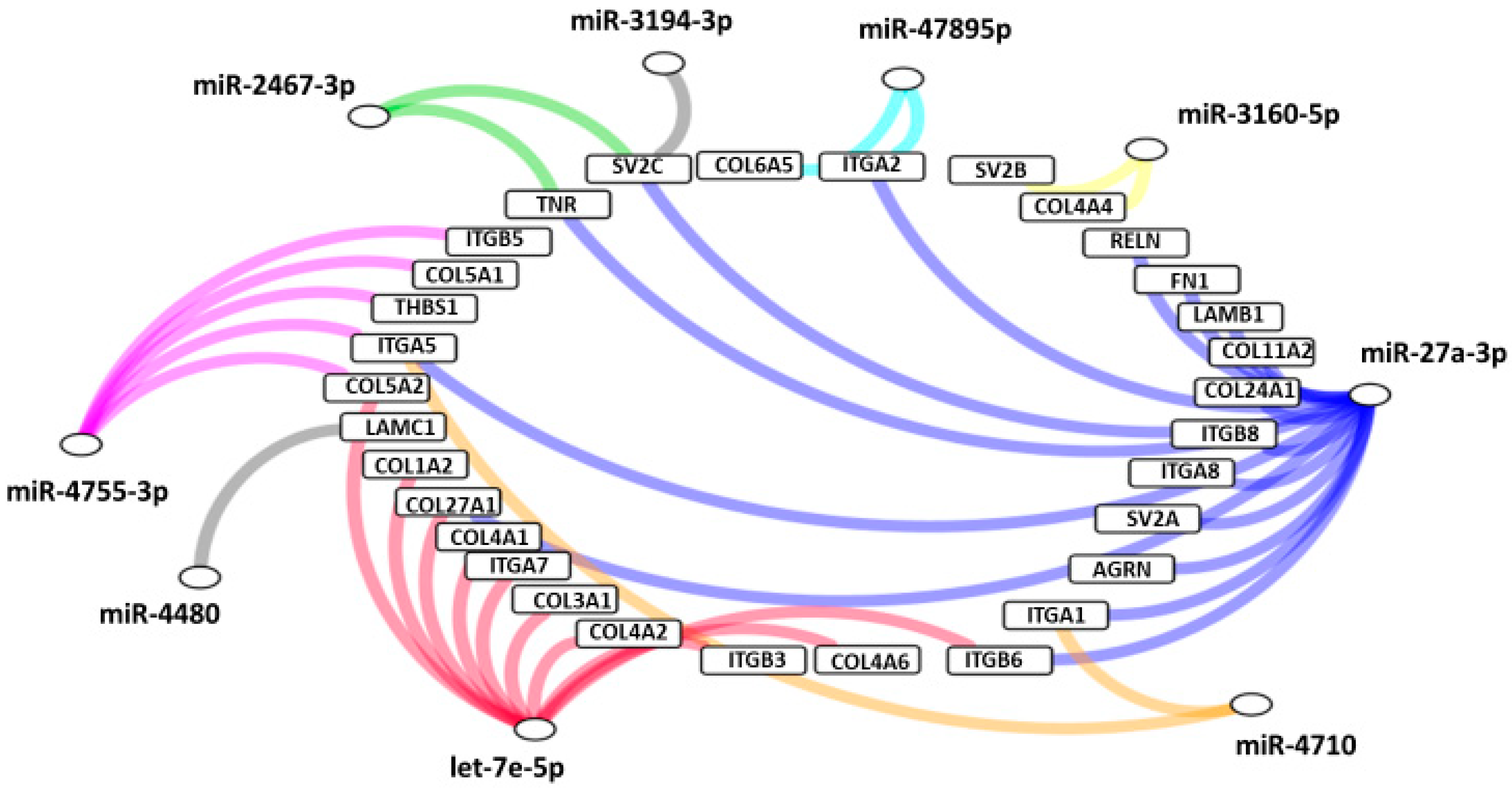 Jcm 09 01844 g008 Jcm 09 01844 g008