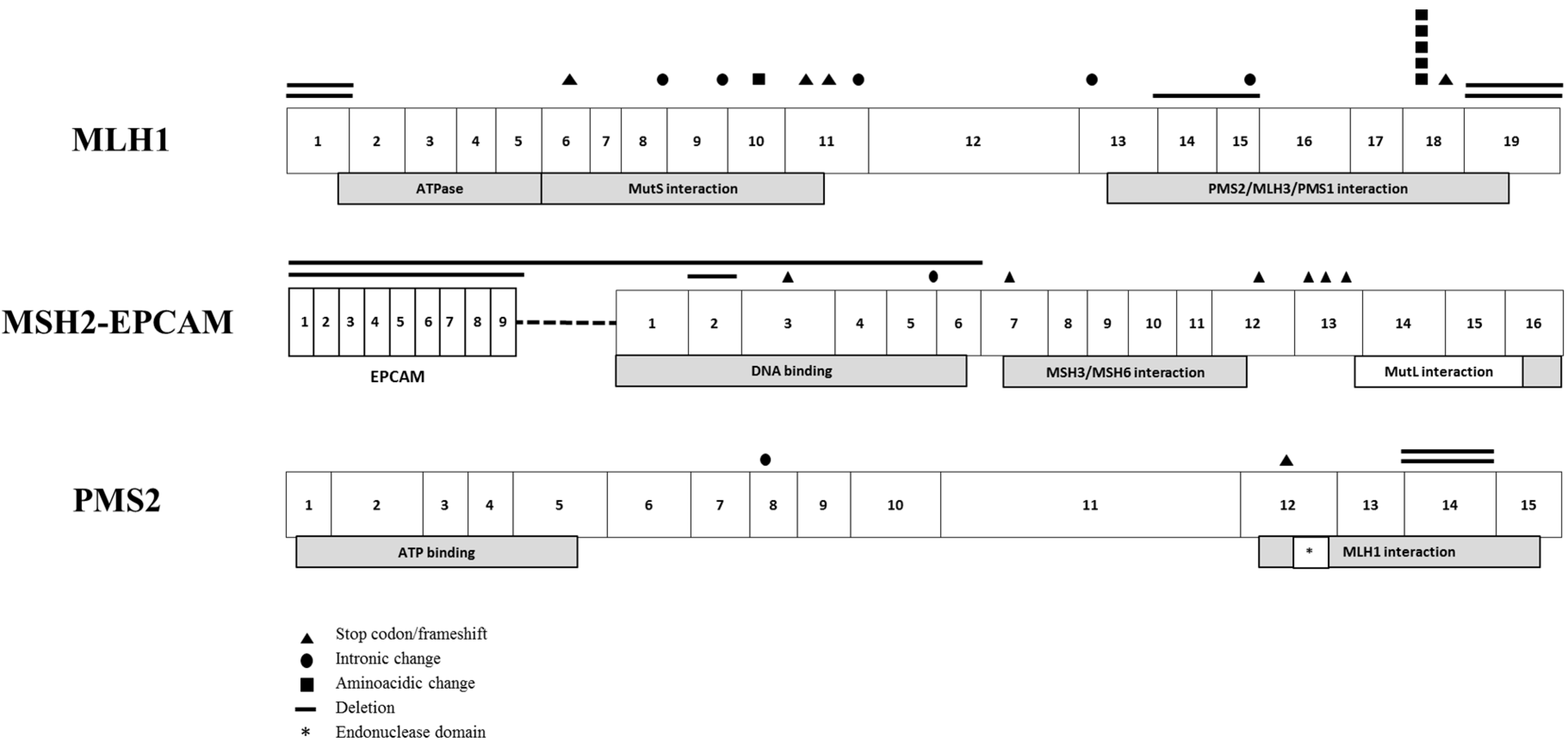 Jcm 09 01861 g001 Jcm 09 01861 g001