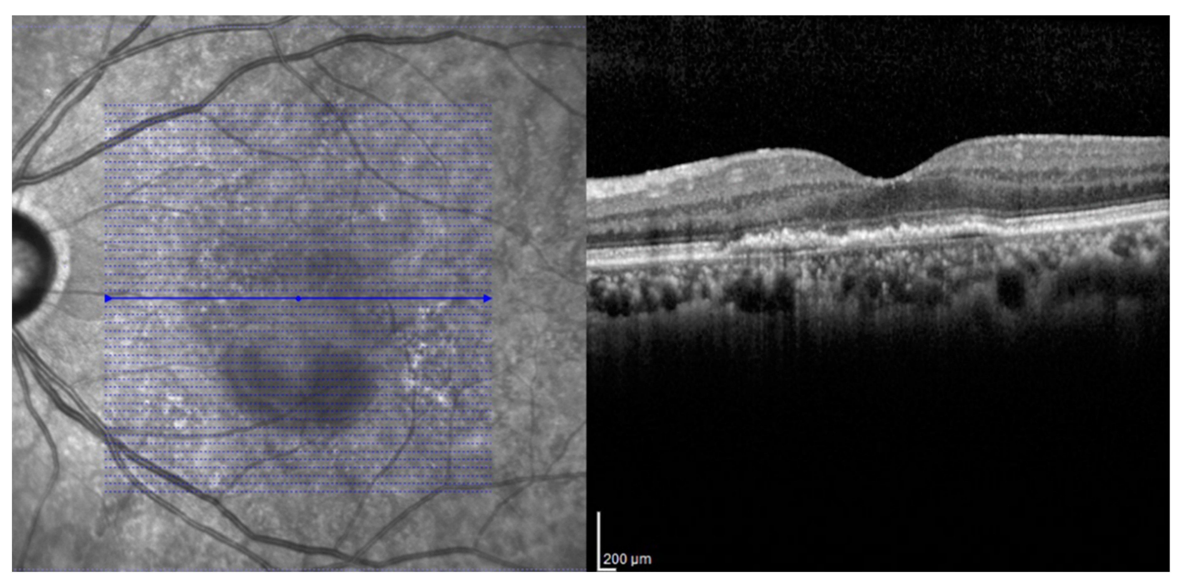 Jcm 09 01863 g001 Jcm 09 01863 g001