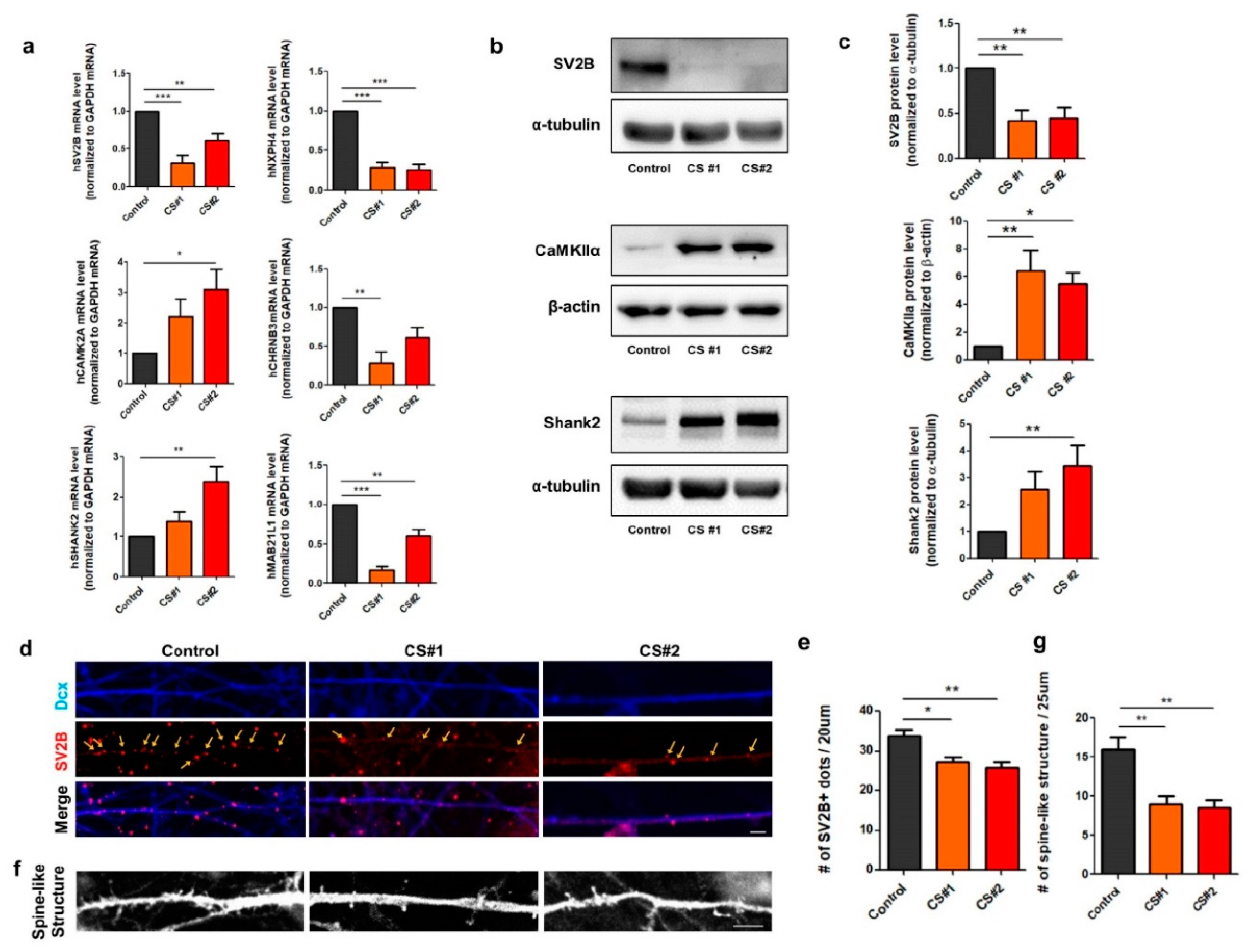 Jcm 09 01886 g004 Jcm 09 01886 g004