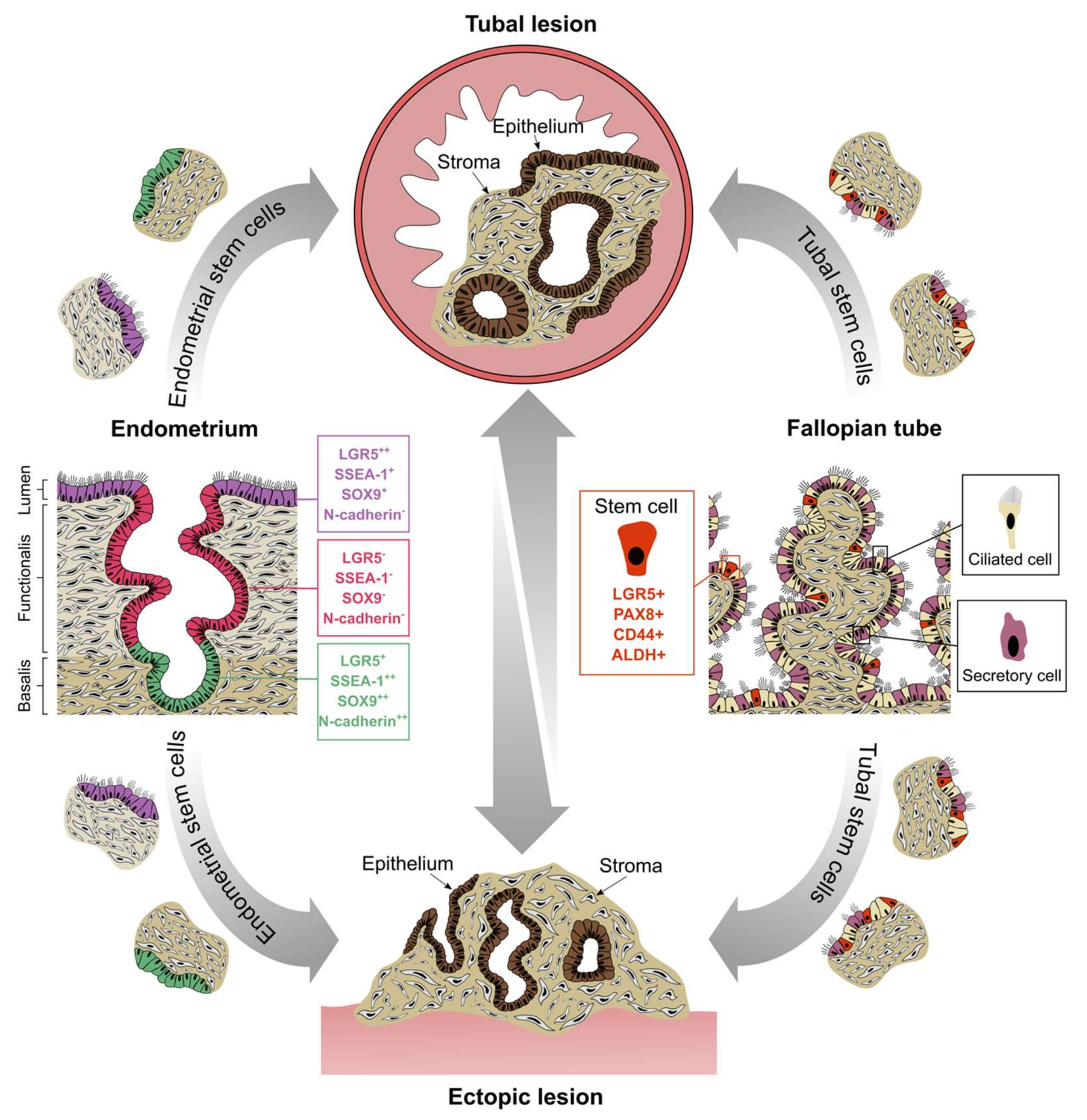 Jcm 09 01905 g004 Jcm 09 01905 g004