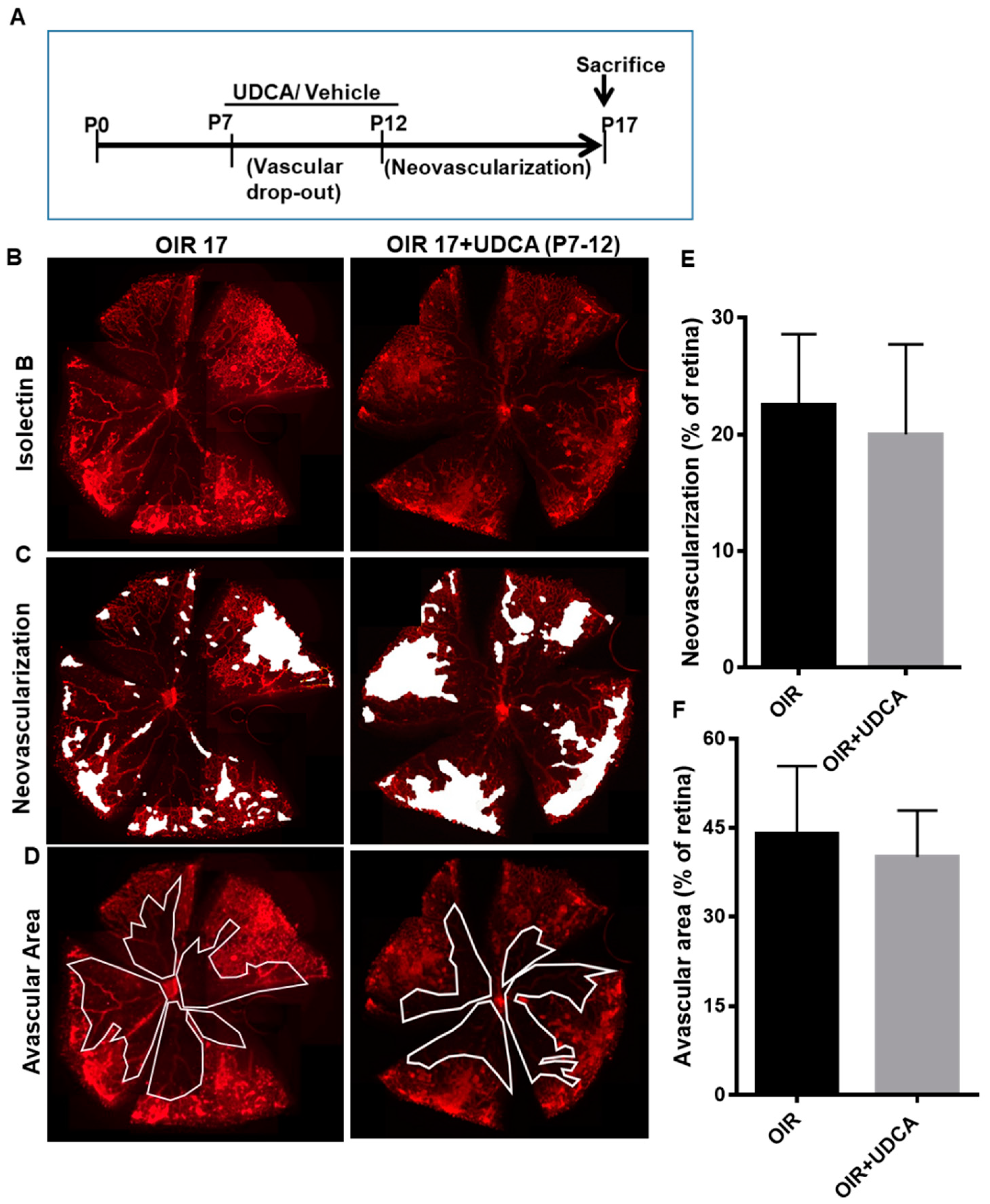 Jcm 09 01921 g002 Jcm 09 01921 g002