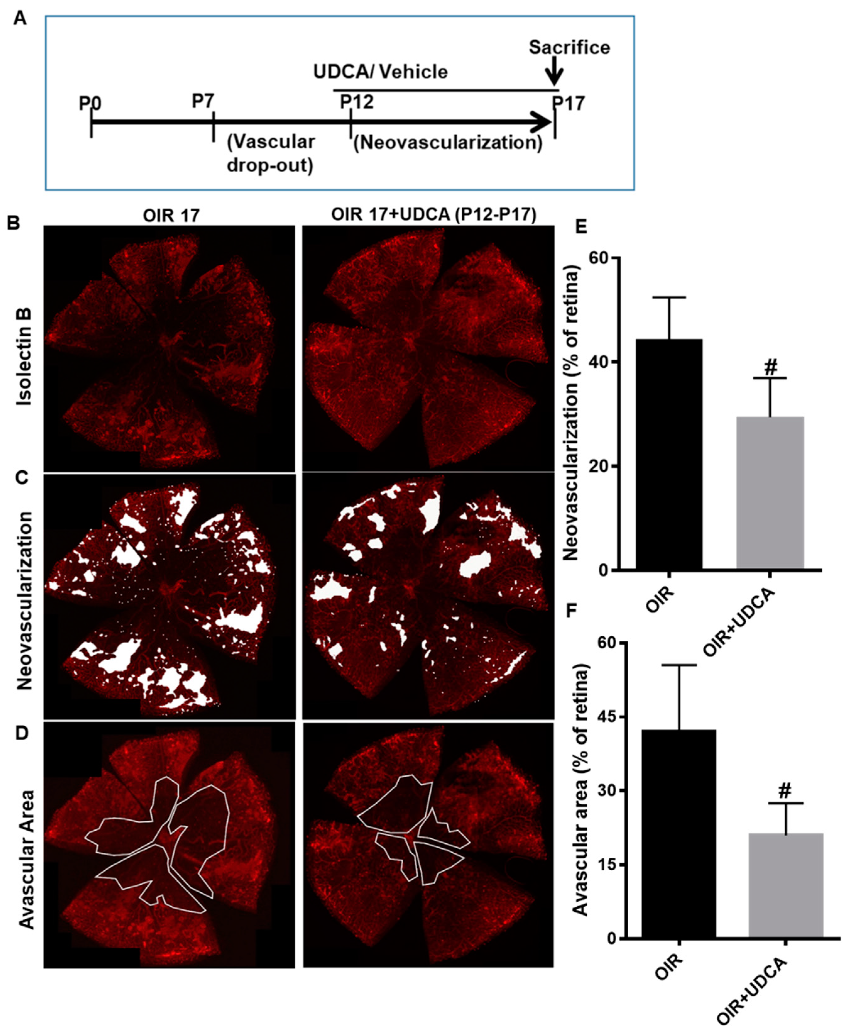 Jcm 09 01921 g003 Jcm 09 01921 g003