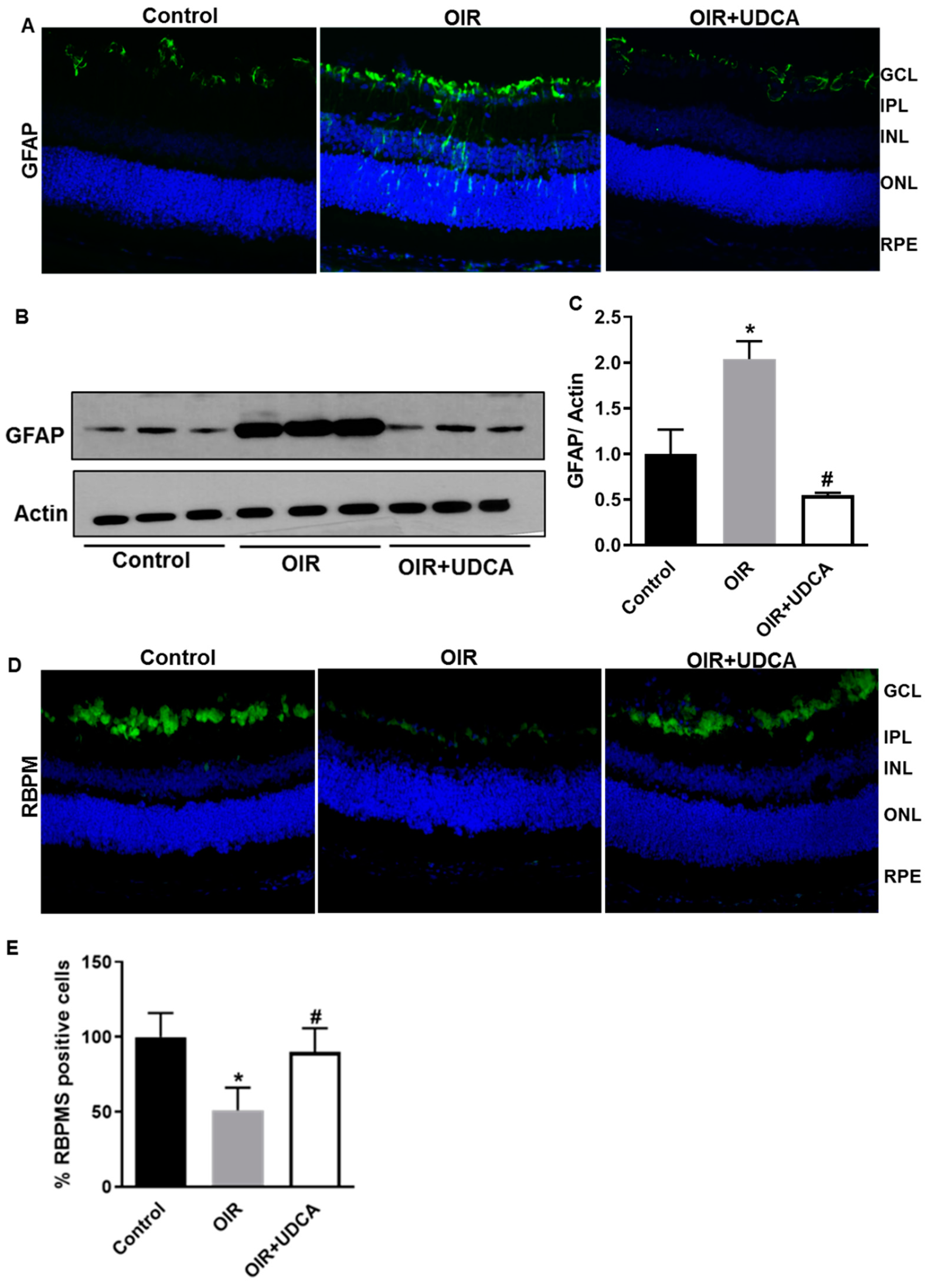 Jcm 09 01921 g005 Jcm 09 01921 g005