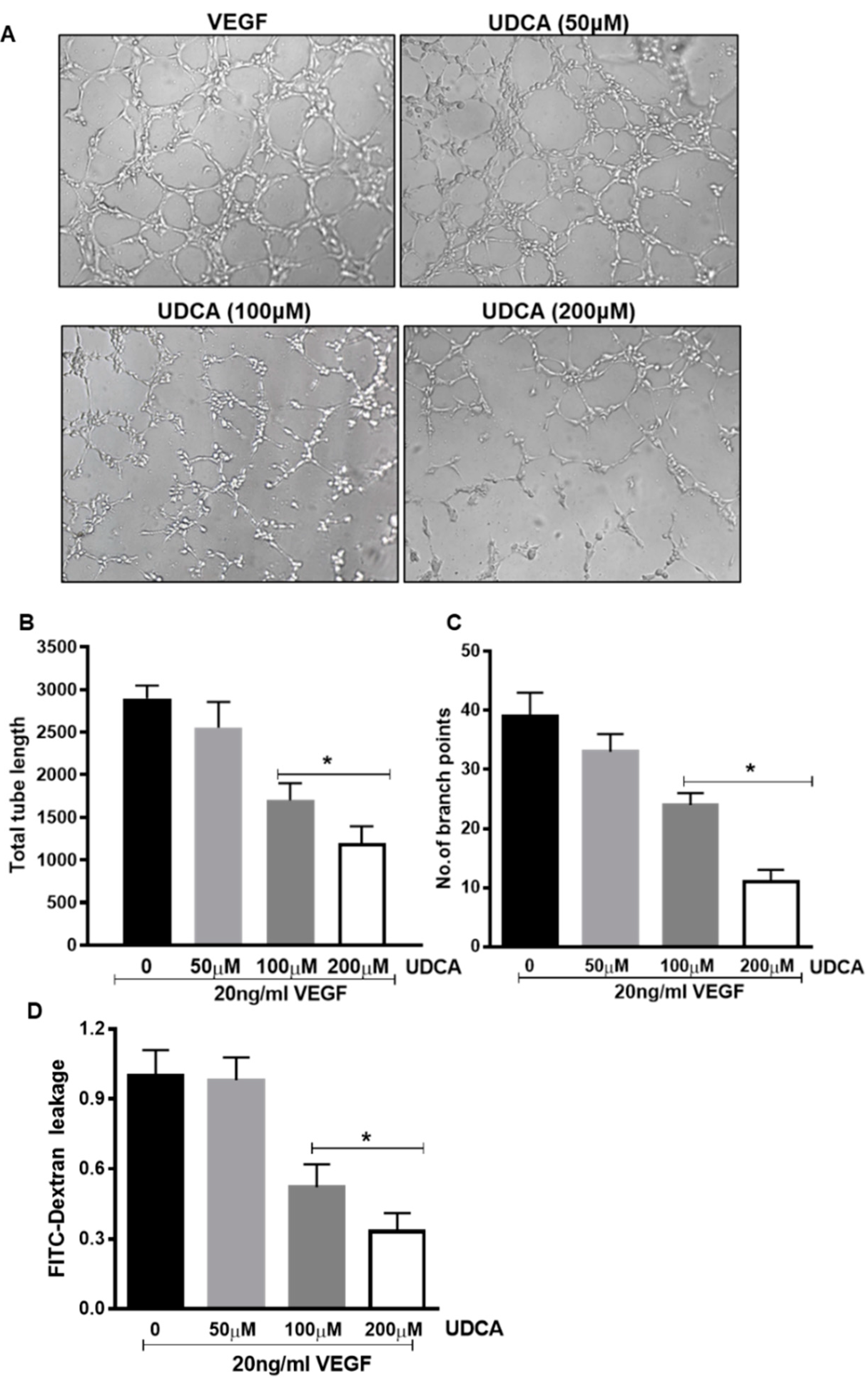 Jcm 09 01921 g008 Jcm 09 01921 g008