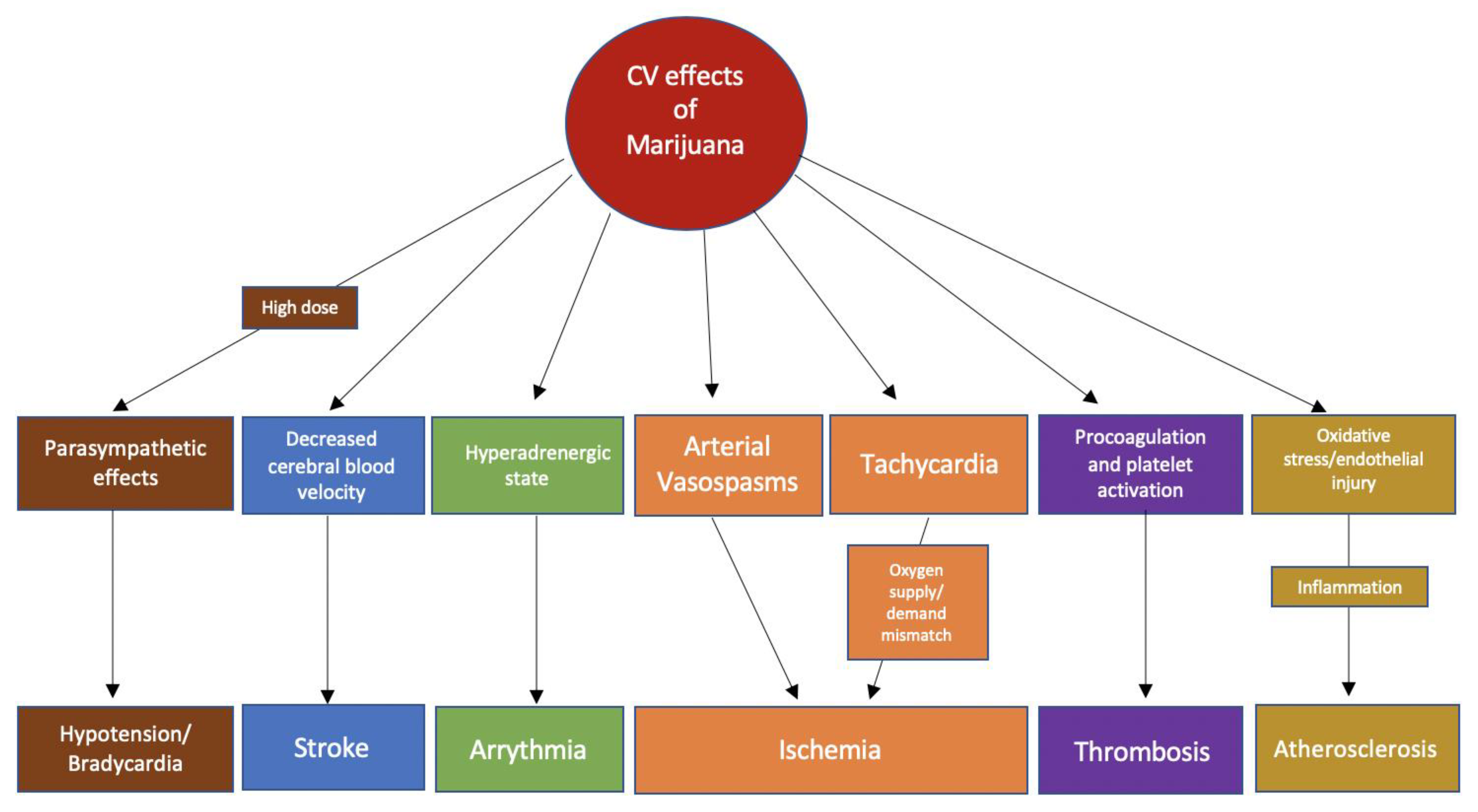 Cannabis Vaping: Existing and Emerging Modalities, Chemistry, and Pulmonary  Toxicology