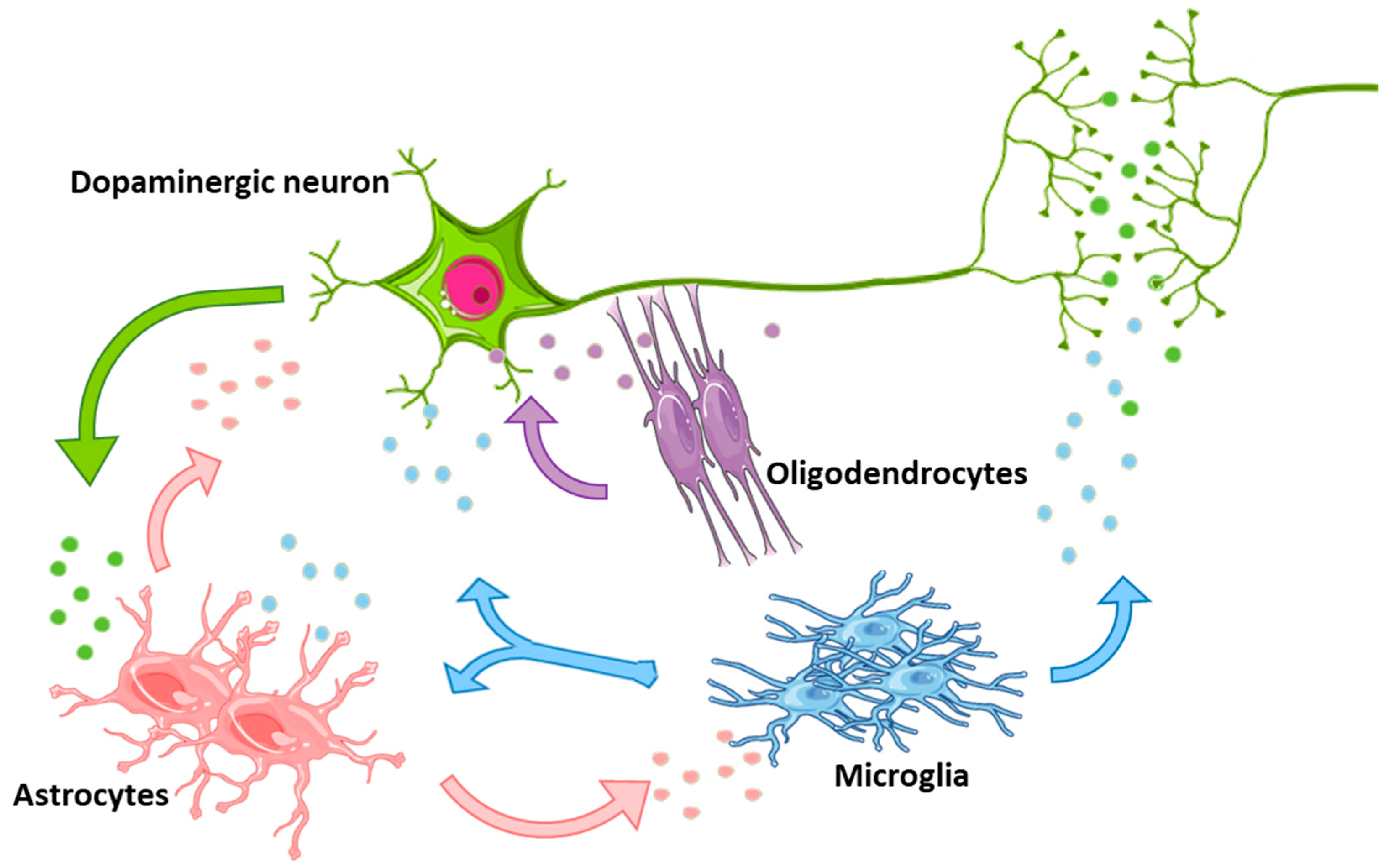 Jcm 09 01941 g002 Jcm 09 01941 g002