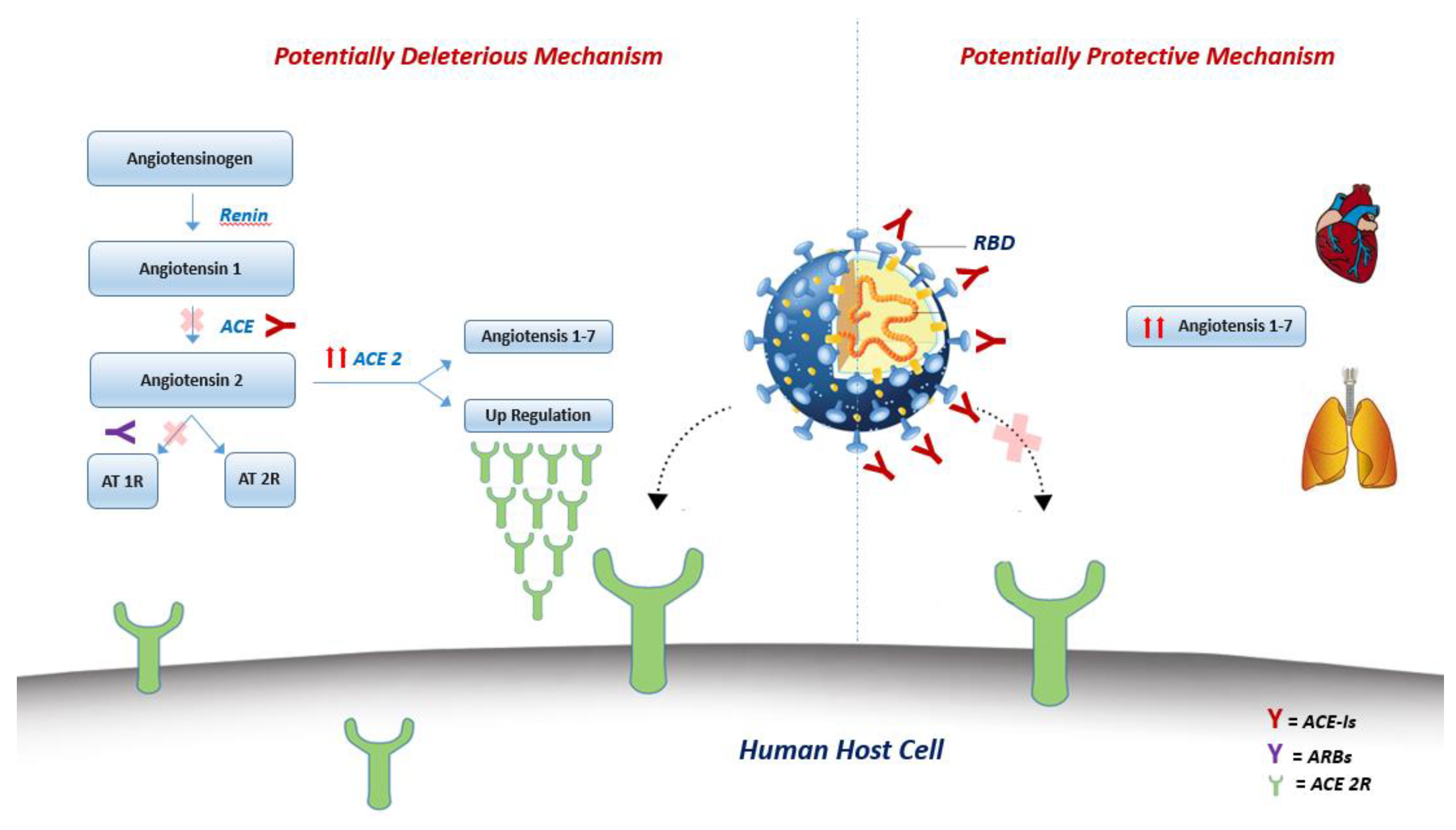 Jcm 09 01944 g002 Jcm 09 01944 g002
