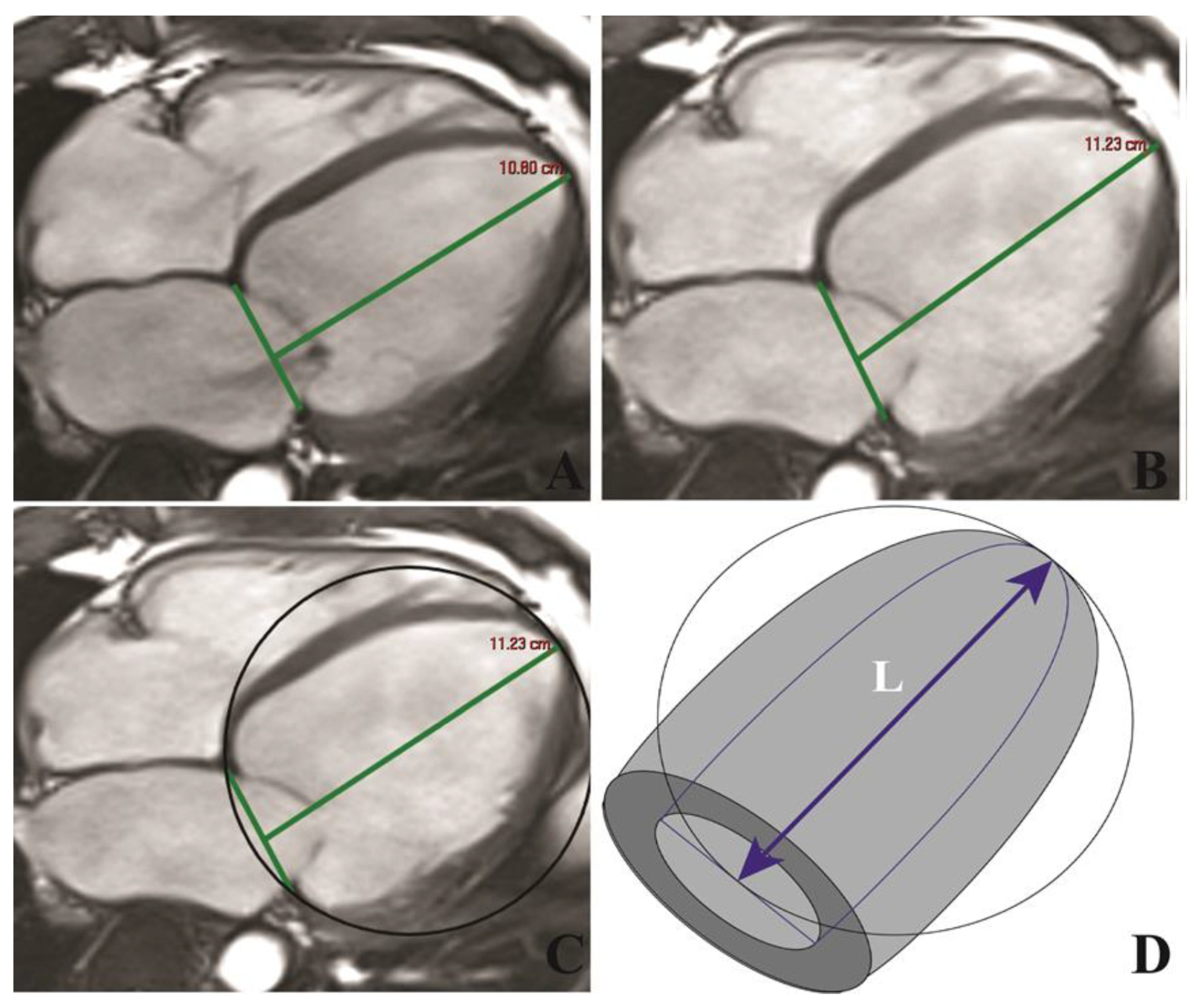 Jcm 09 01997 g002 Jcm 09 01997 g002