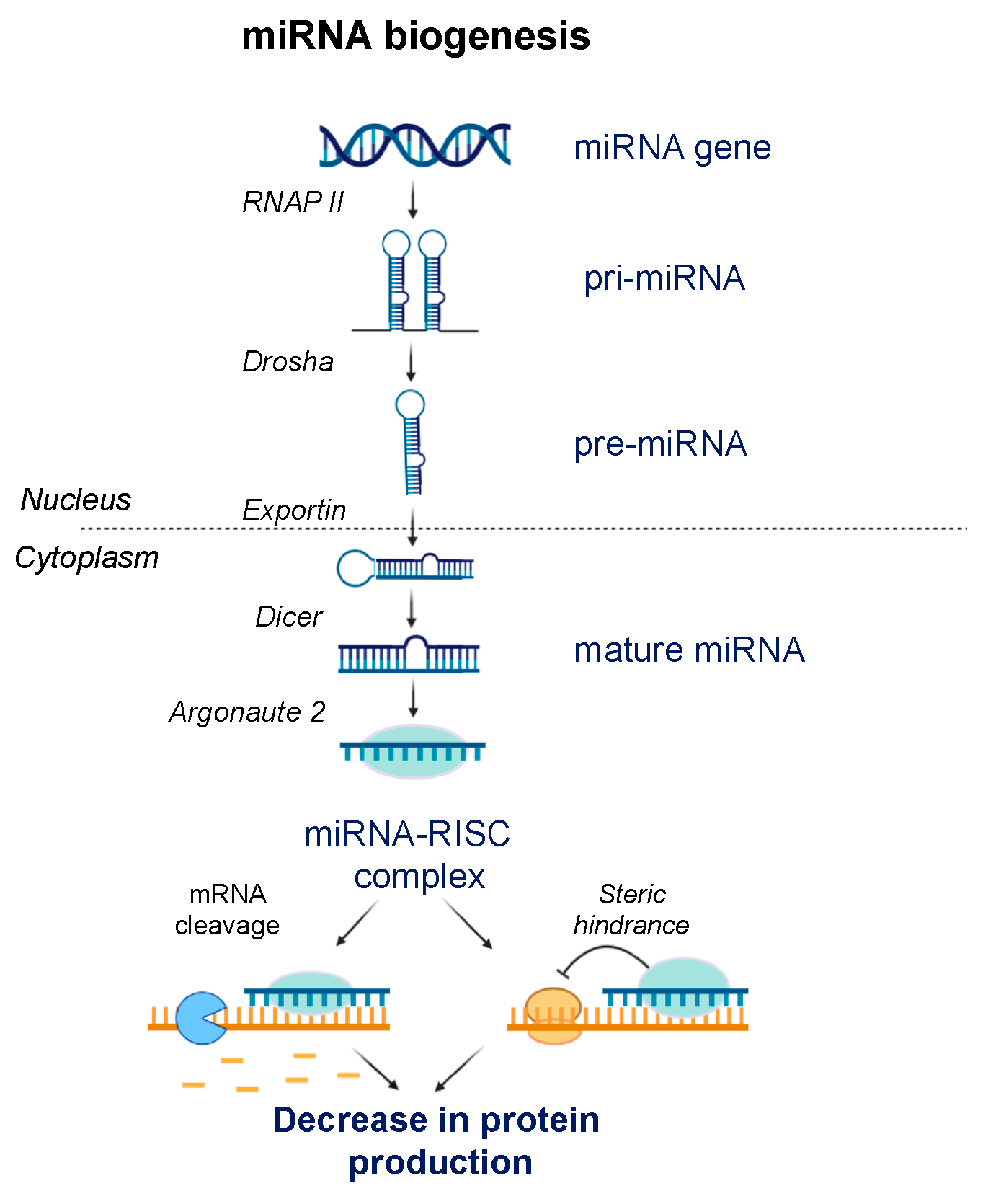 Jcm 09 02004 g003 Jcm 09 02004 g003