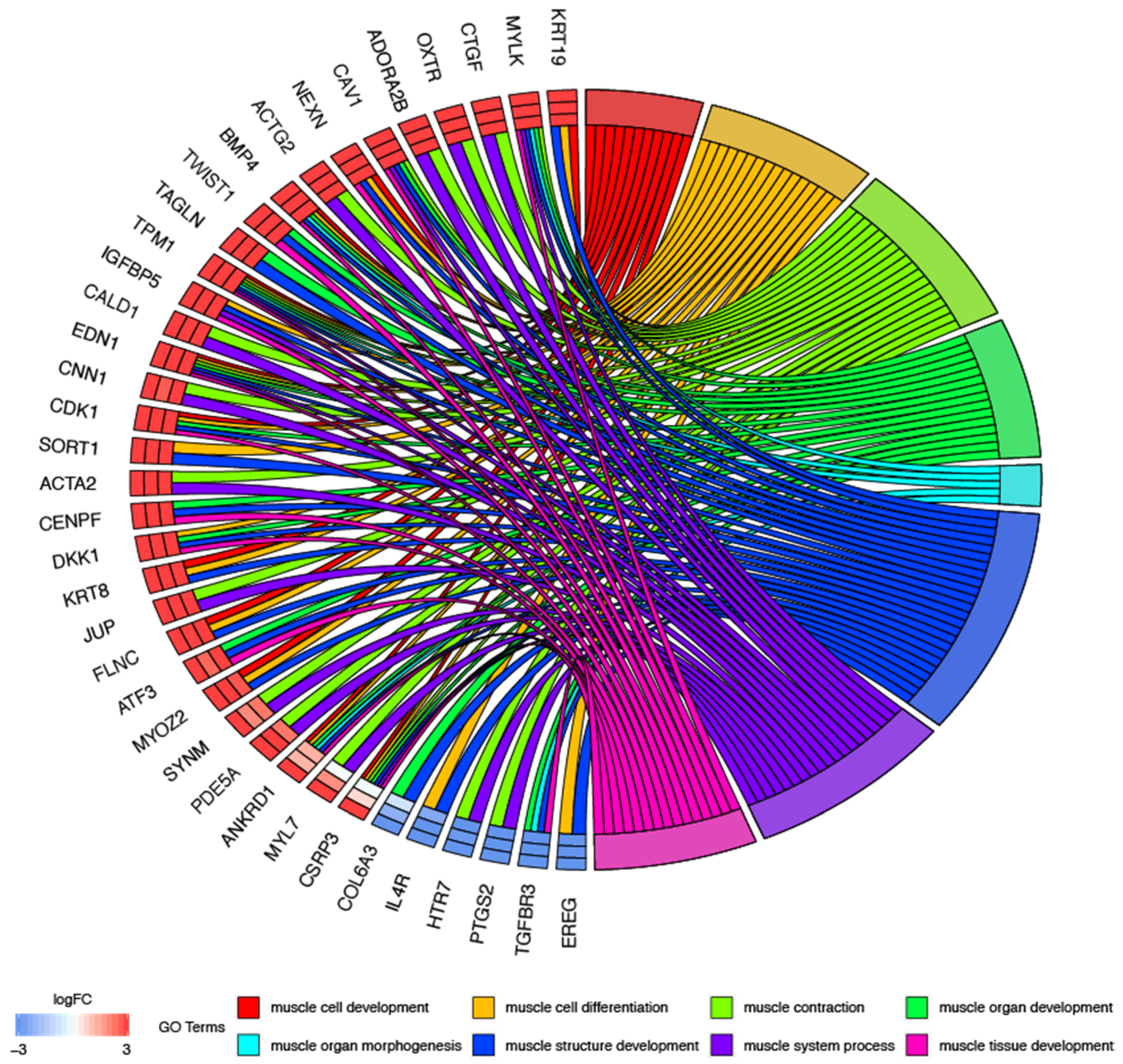Jcm 09 02006 g002 Jcm 09 02006 g002
