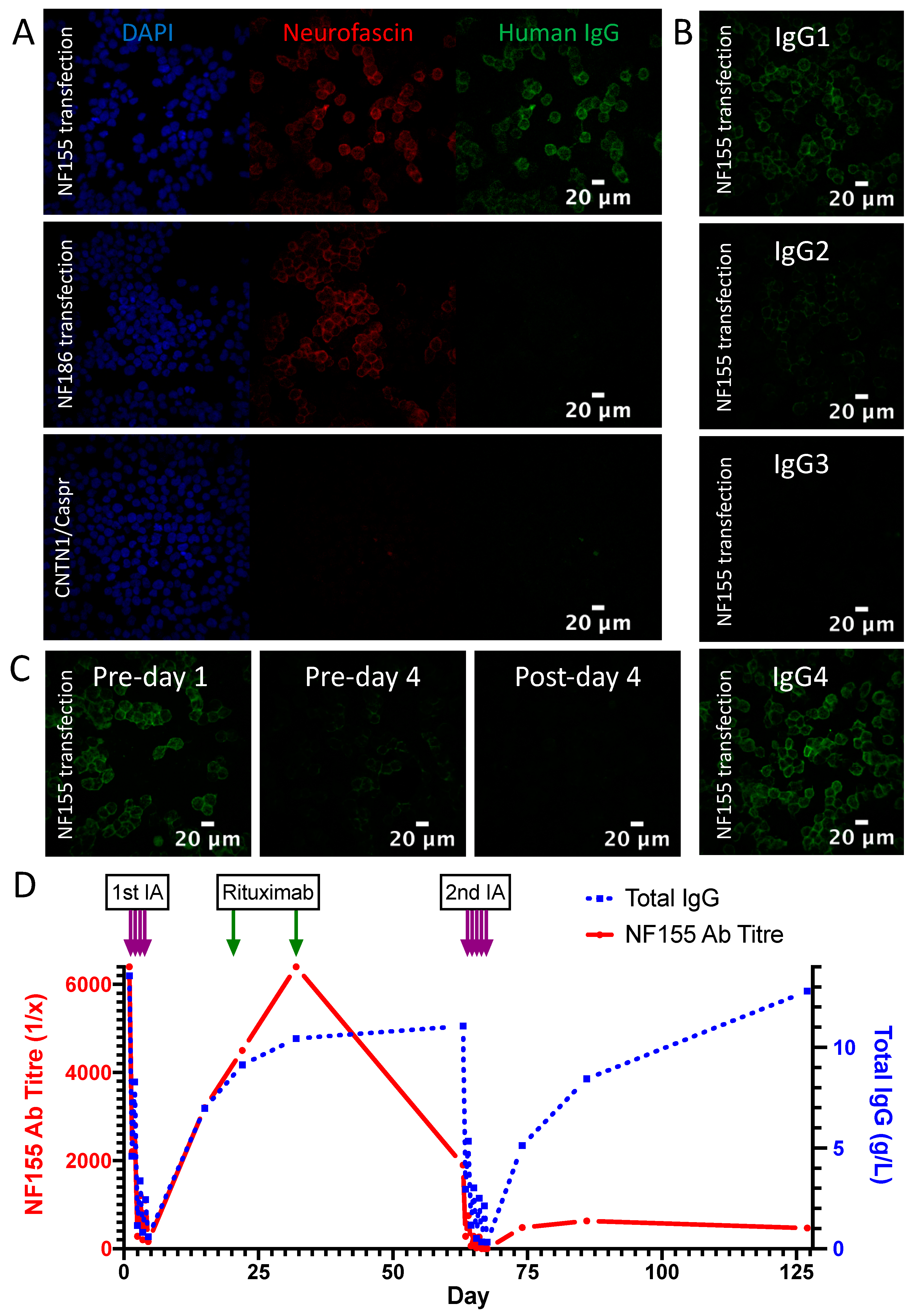 Jcm 09 02025 g002 Jcm 09 02025 g002