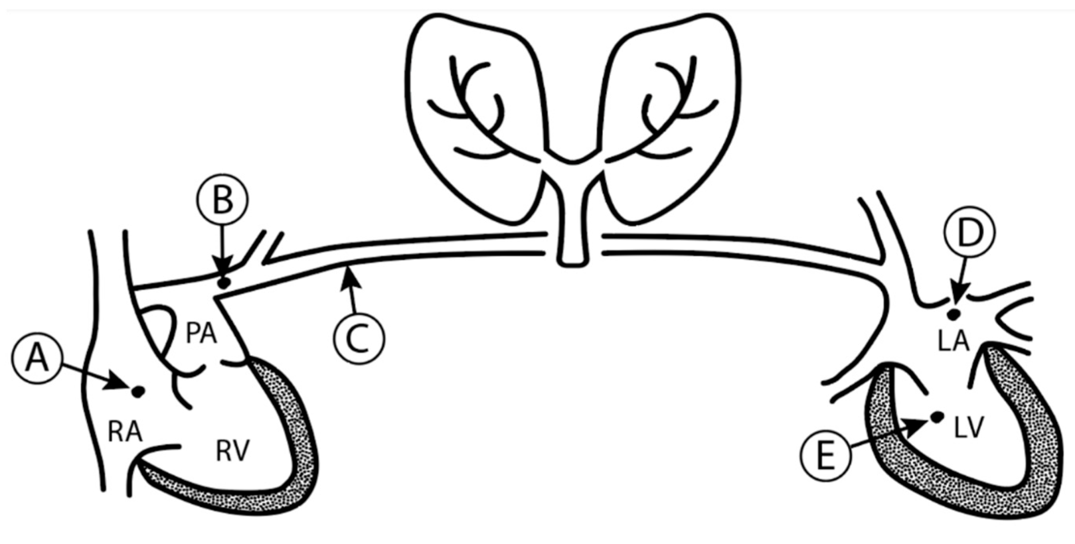 Jcm 09 02052 g002 Jcm 09 02052 g002