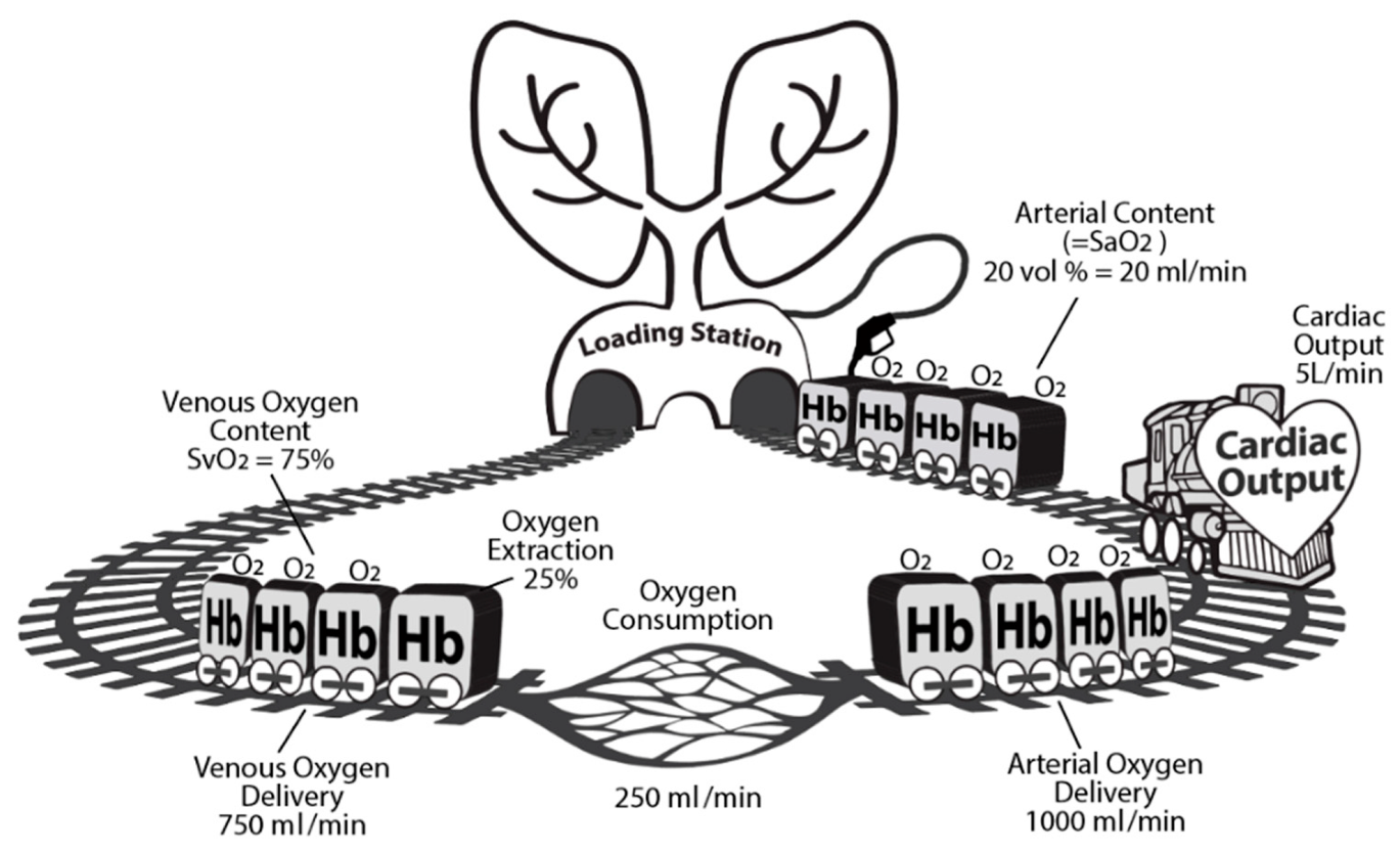 Jcm 09 02052 g004 Jcm 09 02052 g004