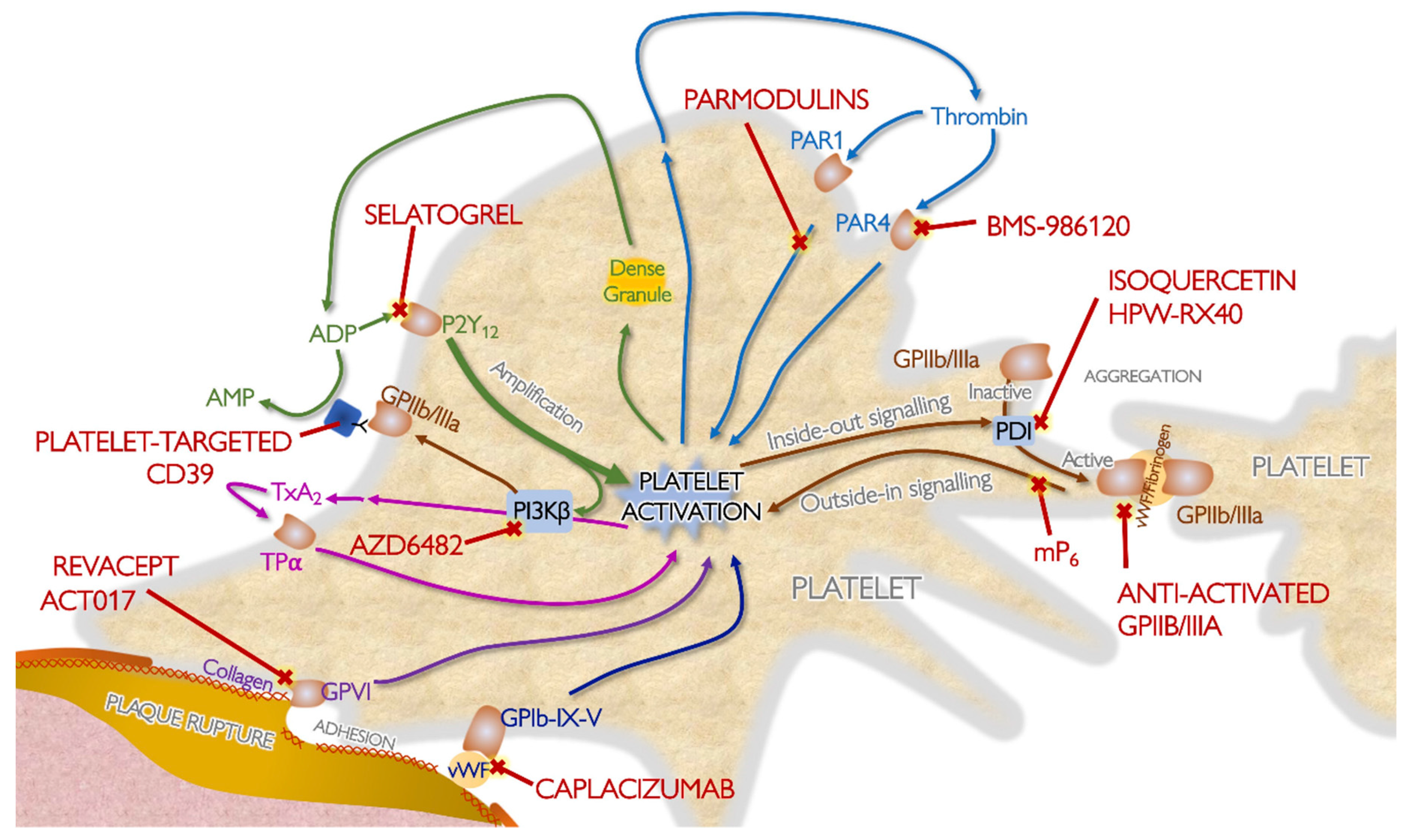 Jcm 09 02059 g002 Jcm 09 02059 g002
