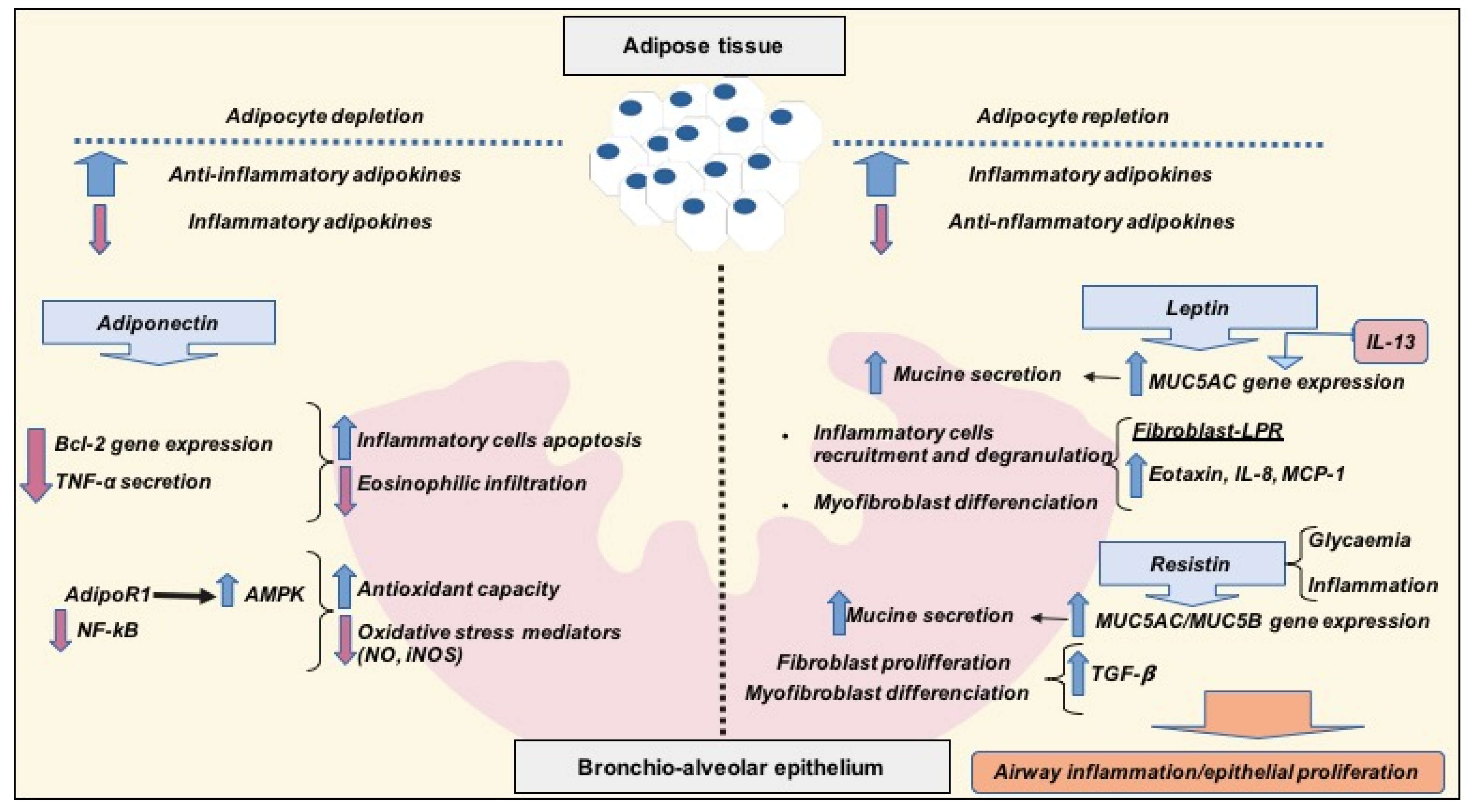 Jcm 09 02063 g001 Jcm 09 02063 g001
