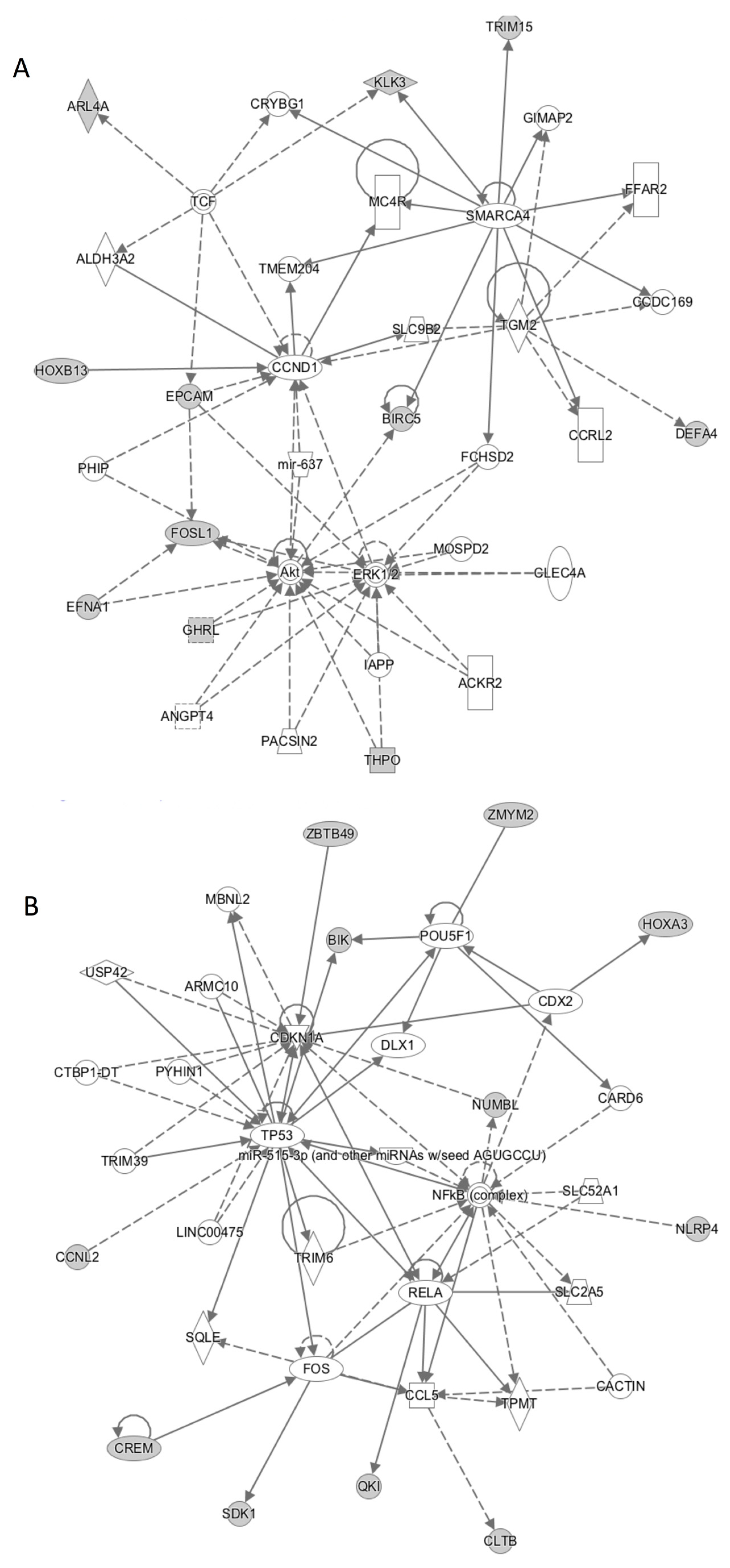 Jcm 09 02066 g001 Jcm 09 02066 g001