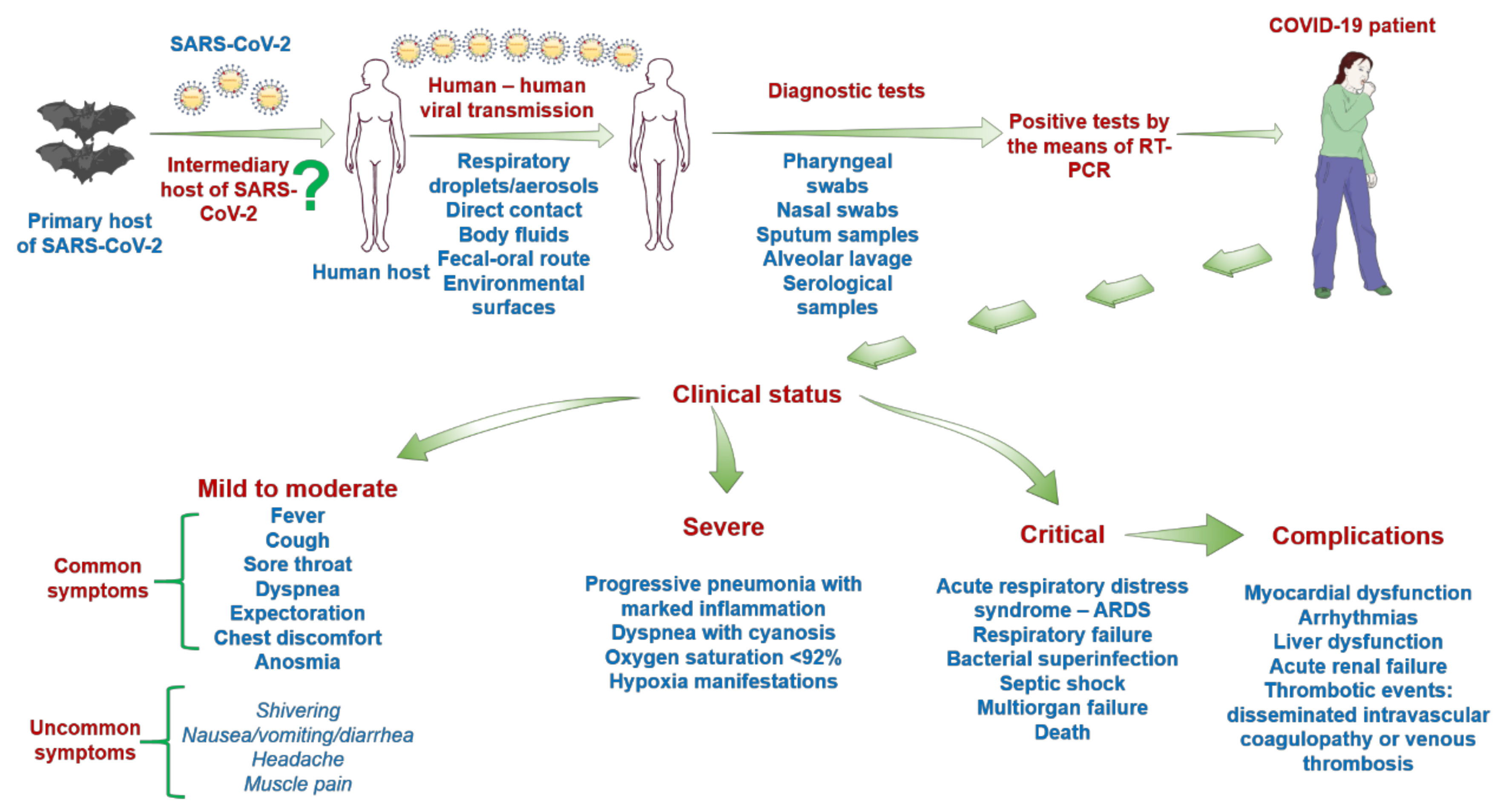 JCM | Free Full-Text | SARS-CoV-2: Repurposed Drugs and Novel Therapeutic Approaches—Insights into Chemical Structure—Biological Activity and Toxicological Screening | HTML