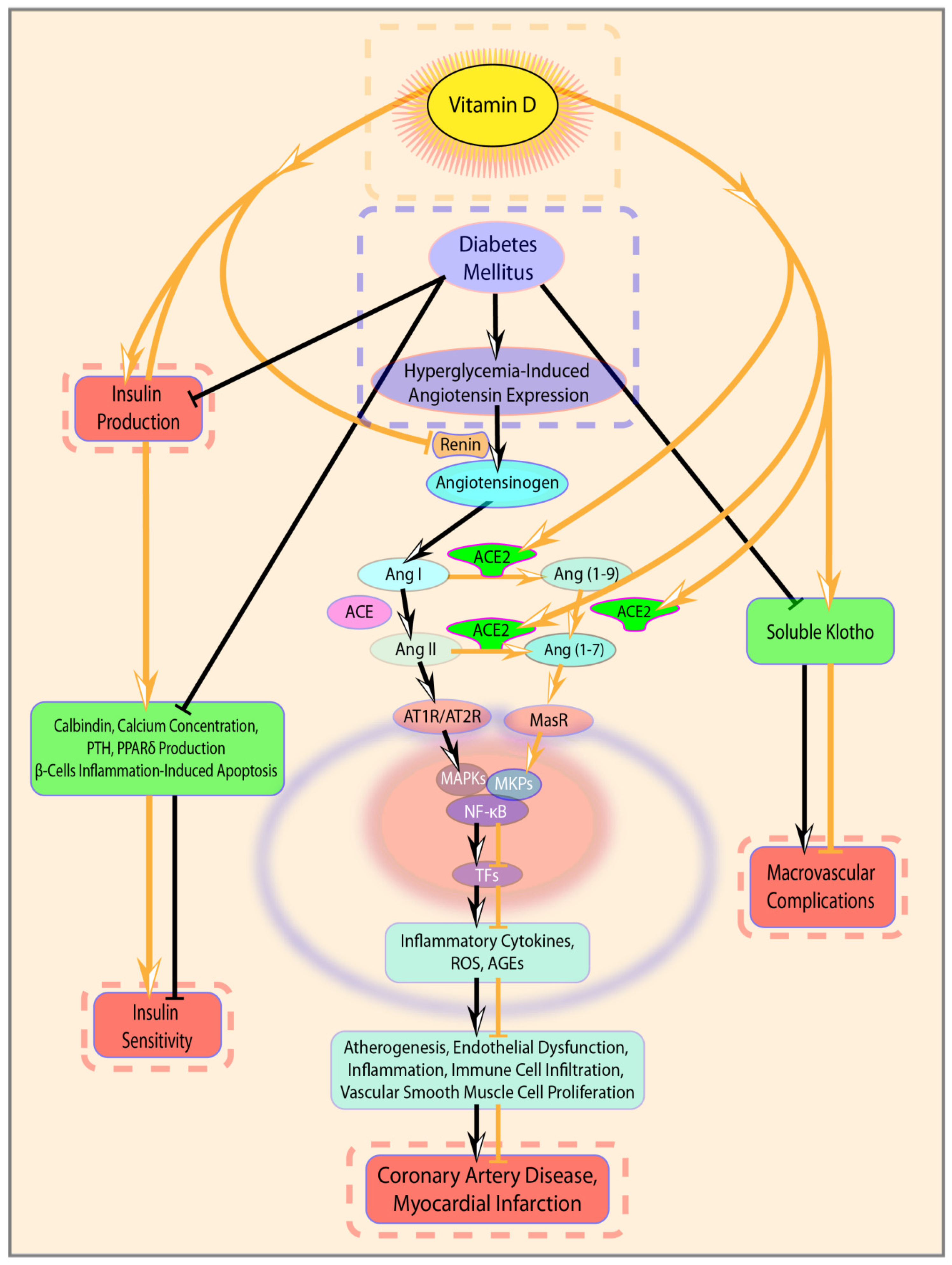 Jcm 09 02127 g003 Jcm 09 02127 g003