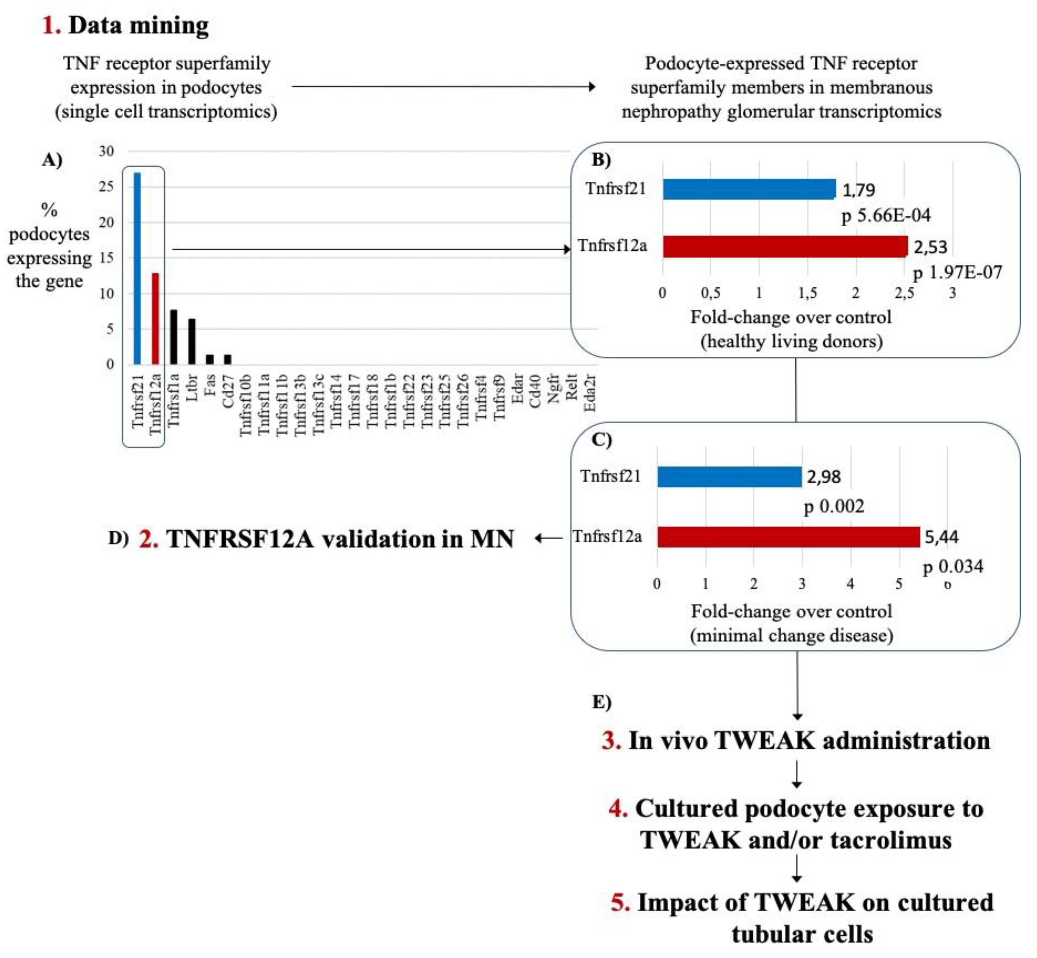 Jcm 09 02178 g001 Jcm 09 02178 g001