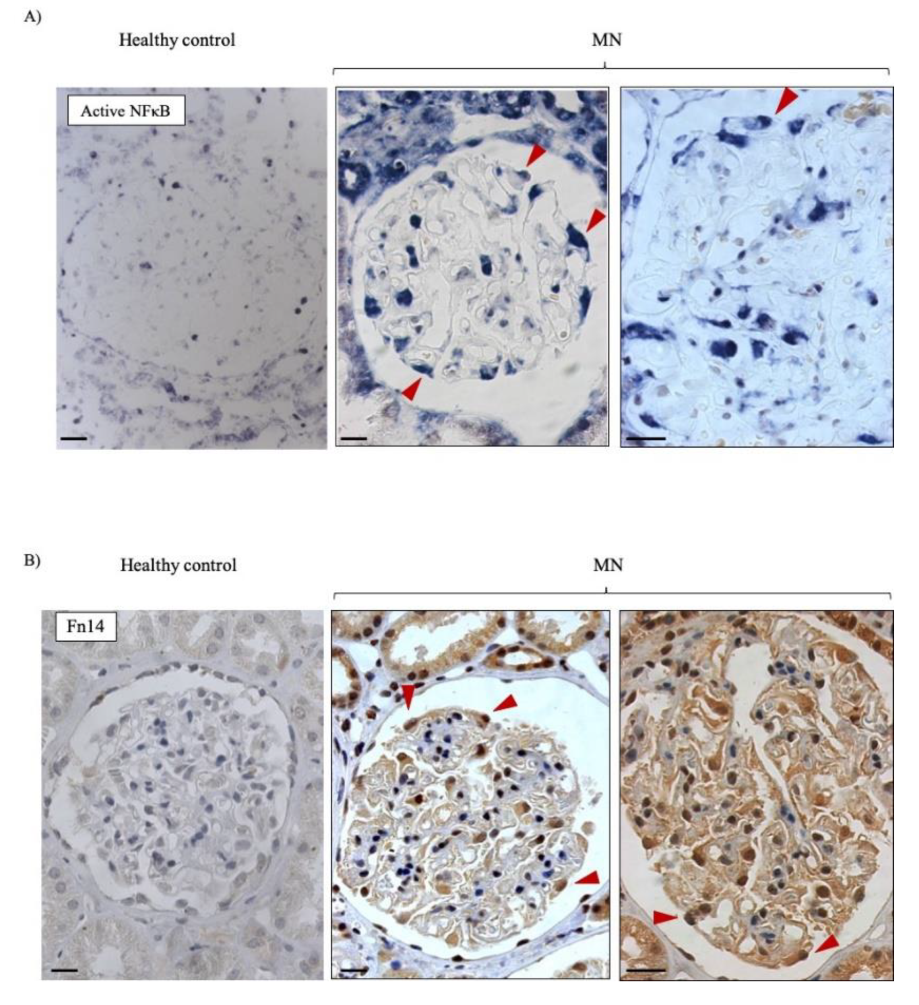 Jcm 09 02178 g002 Jcm 09 02178 g002