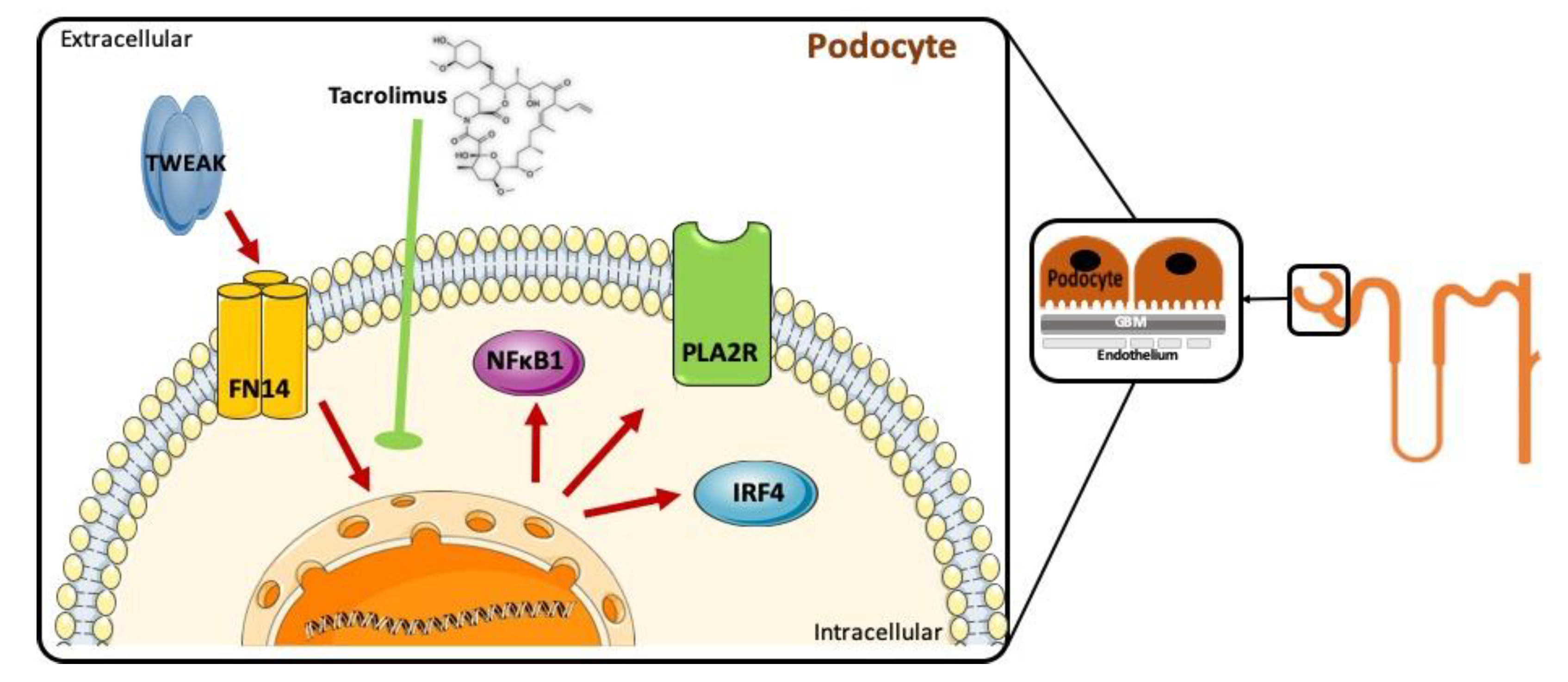 Jcm 09 02178 g005 Jcm 09 02178 g005