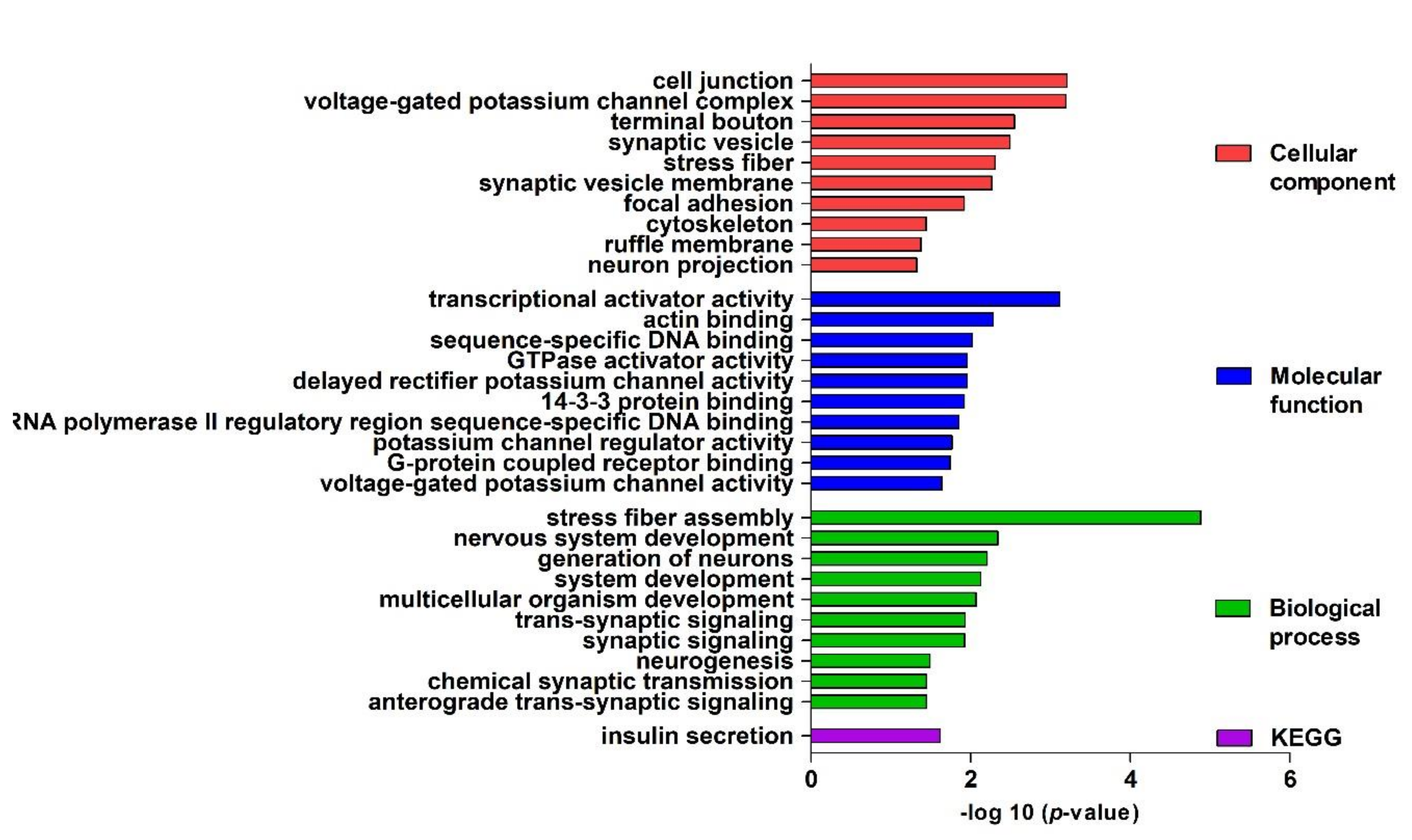 Gene ontology (GO) enrichment analysis