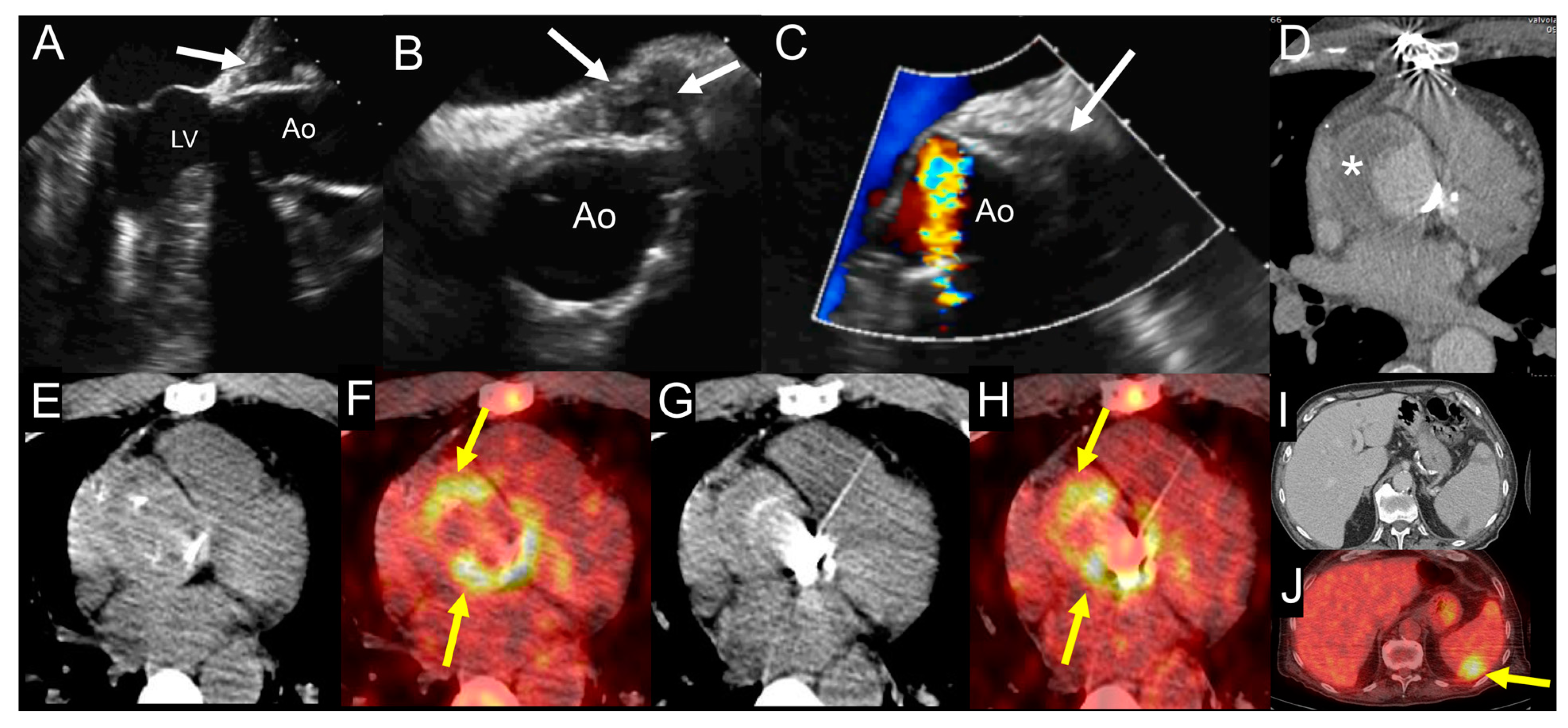 Jcm 09 02237 g007 Jcm 09 02237 g007