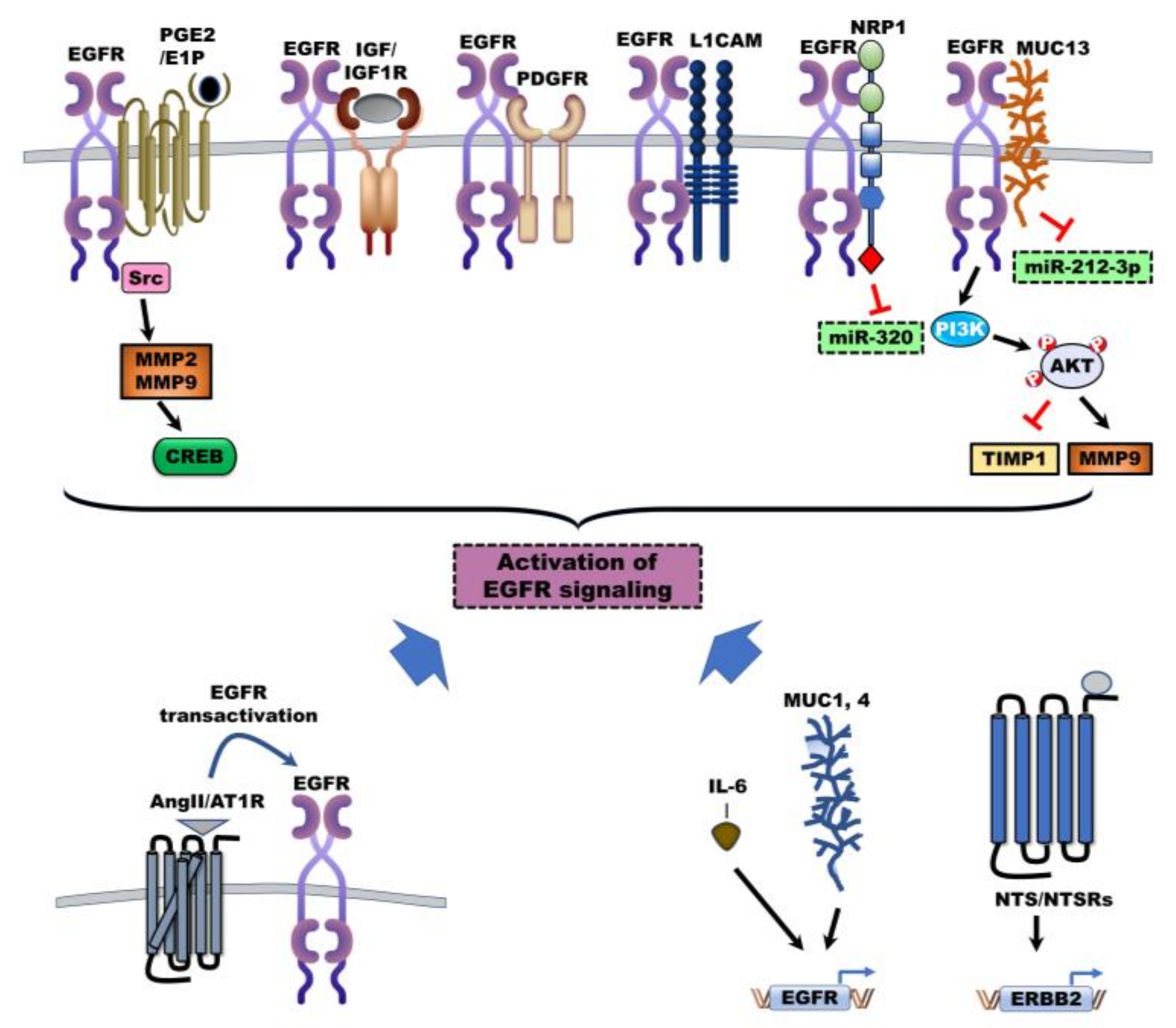 Jcm 09 02255 g002 Jcm 09 02255 g002