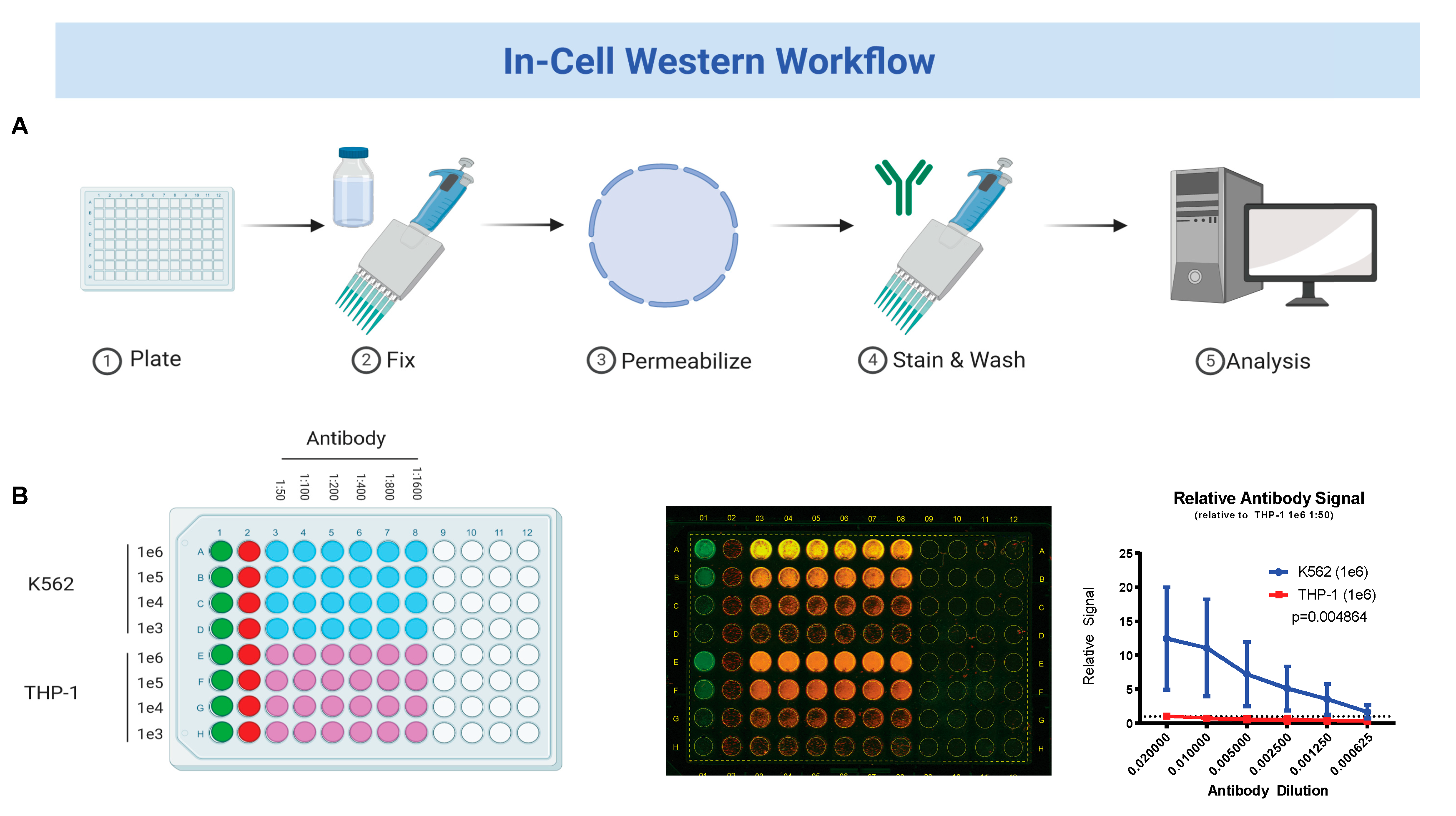Jcm 09 02276 g001 Jcm 09 02276 g001