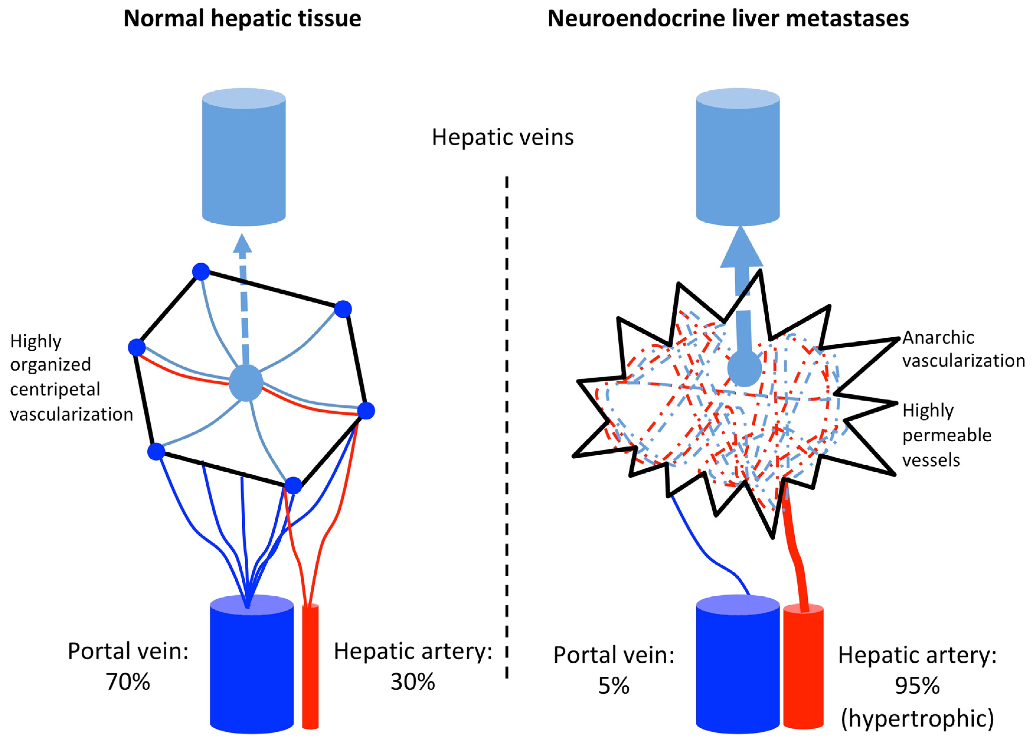 Jcm 09 02302 g001 Jcm 09 02302 g001