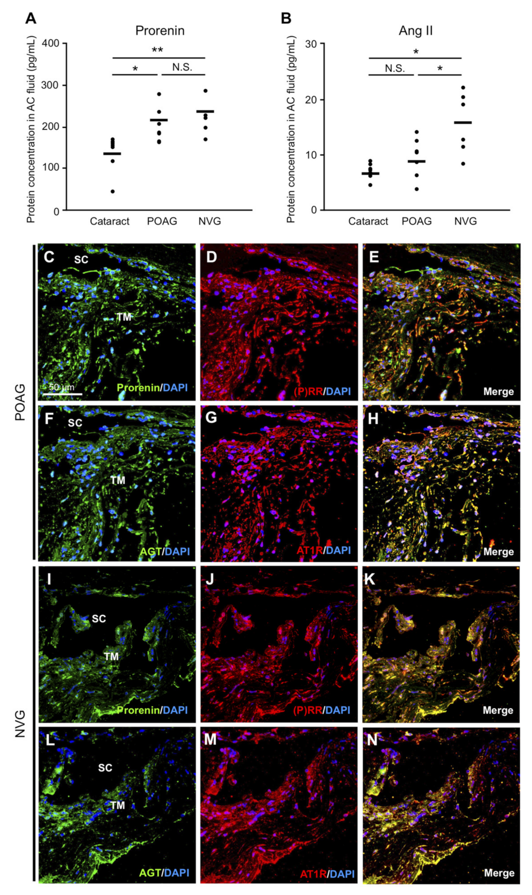 Jcm 09 02336 g001 Jcm 09 02336 g001
