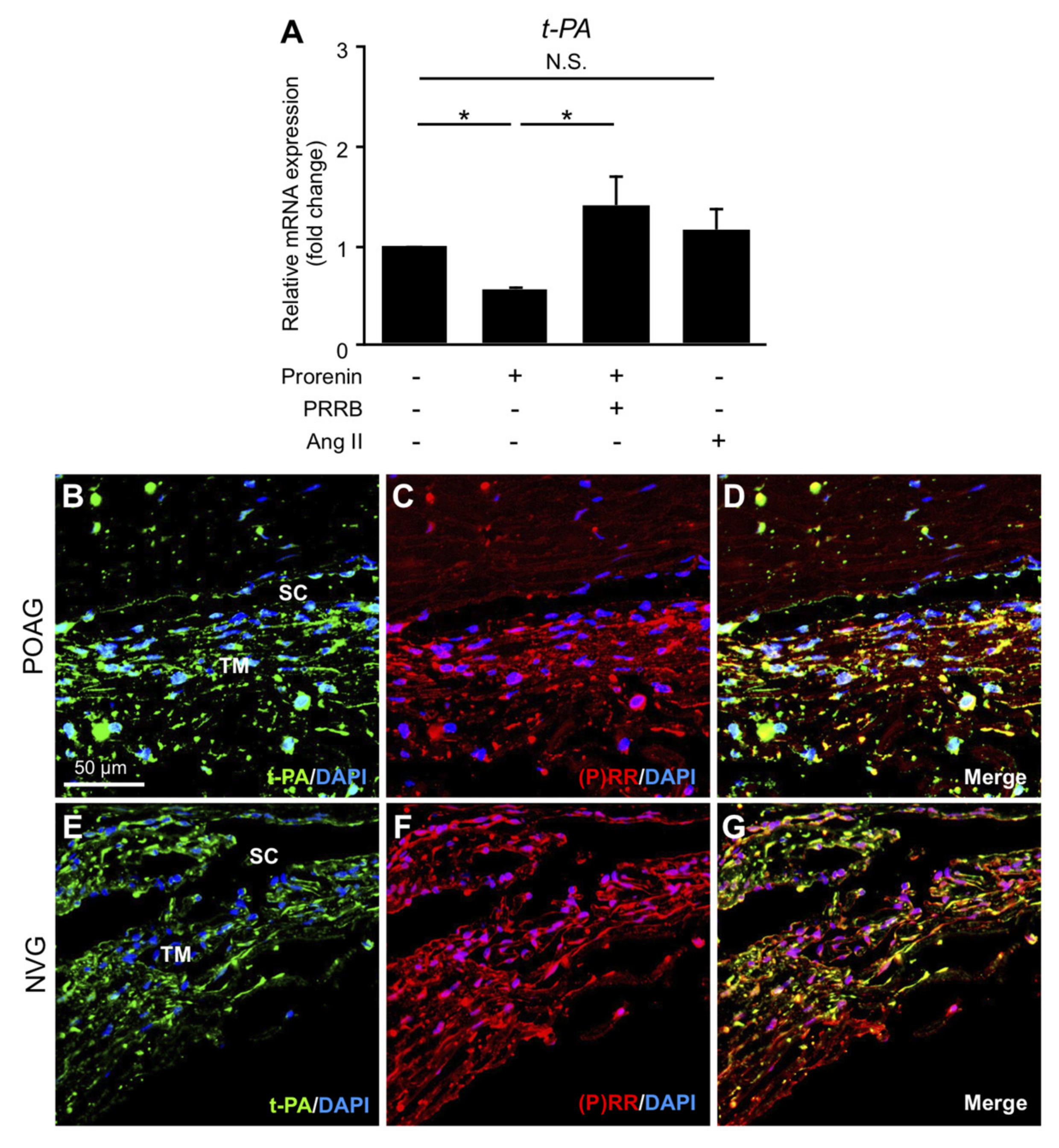 Jcm 09 02336 g003 Jcm 09 02336 g003
