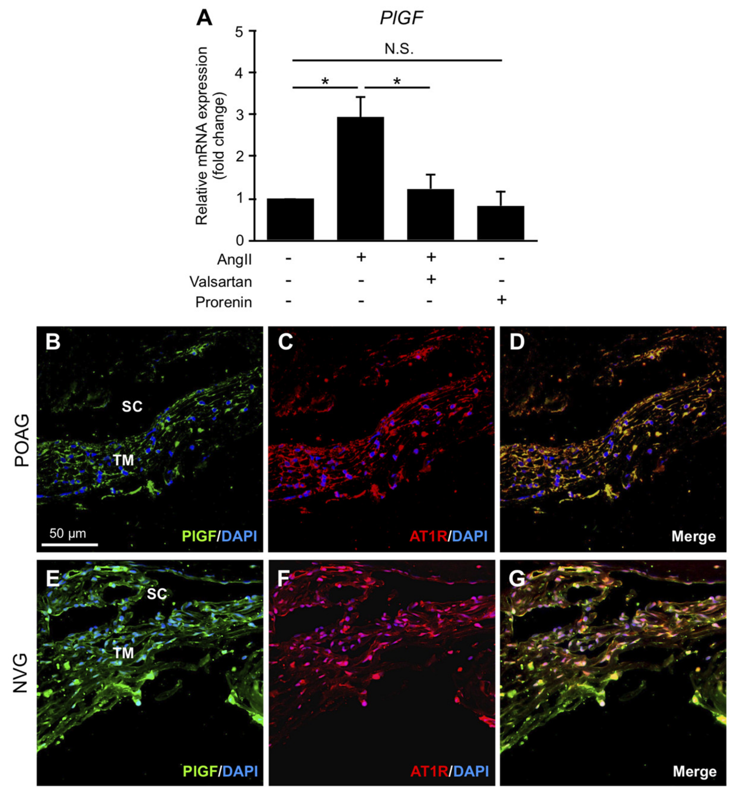 Jcm 09 02336 g004 Jcm 09 02336 g004