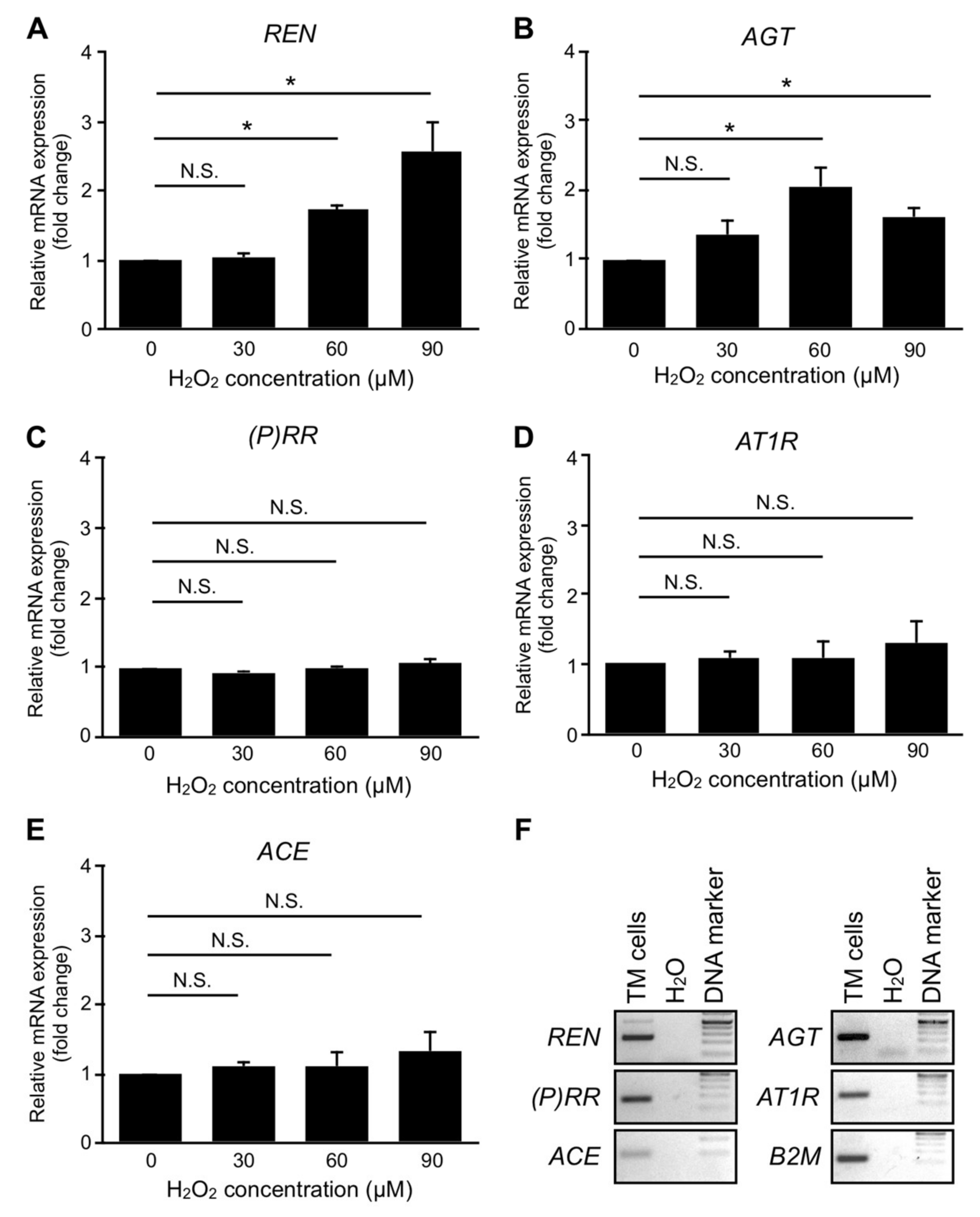 Jcm 09 02336 g005 Jcm 09 02336 g005