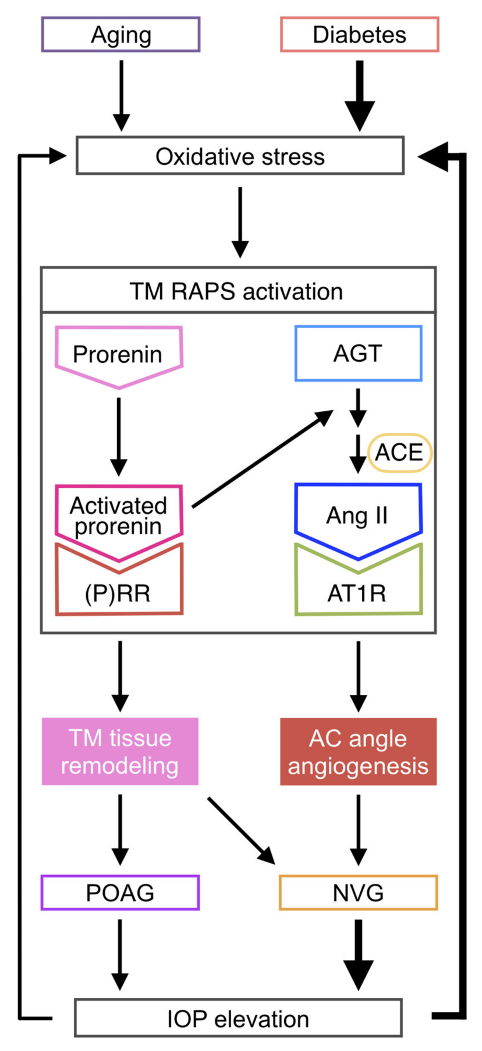 Jcm 09 02336 g006 Jcm 09 02336 g006