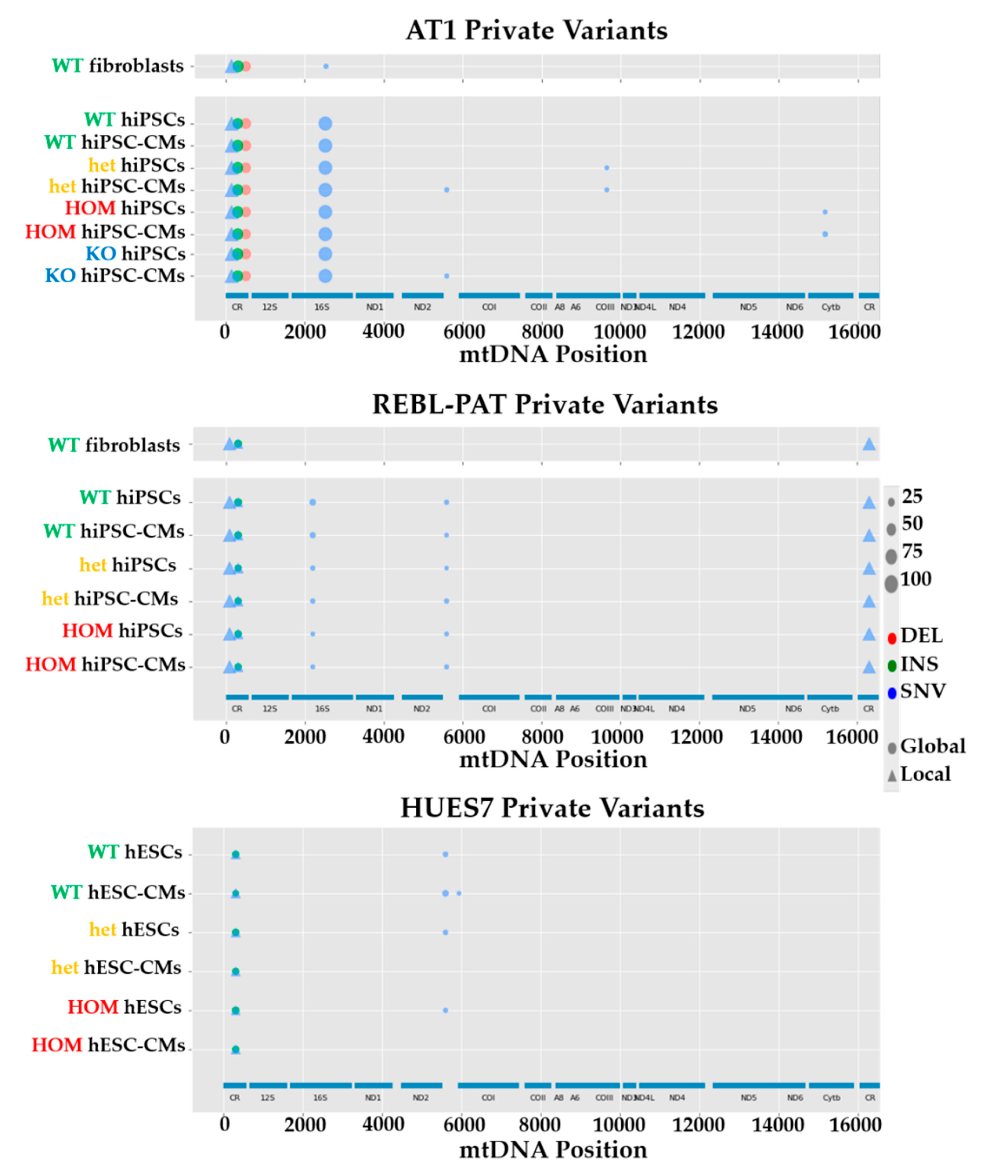 Jcm 09 02349 g002 Jcm 09 02349 g002
