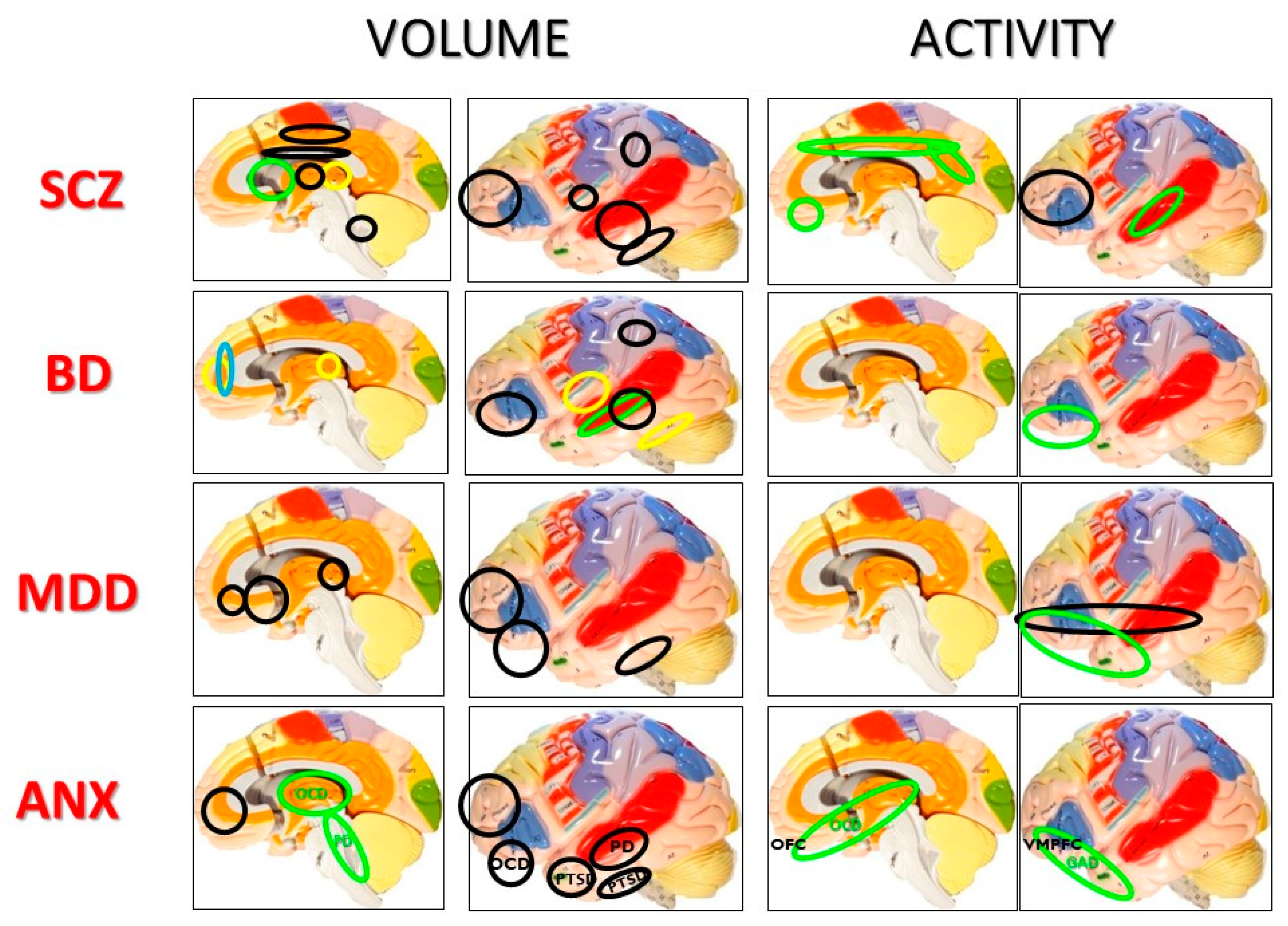 Jcm 09 02375 g001 Jcm 09 02375 g001