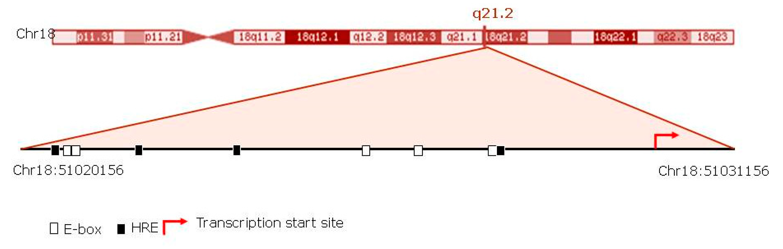 Jcm 09 02378 g005 Jcm 09 02378 g005