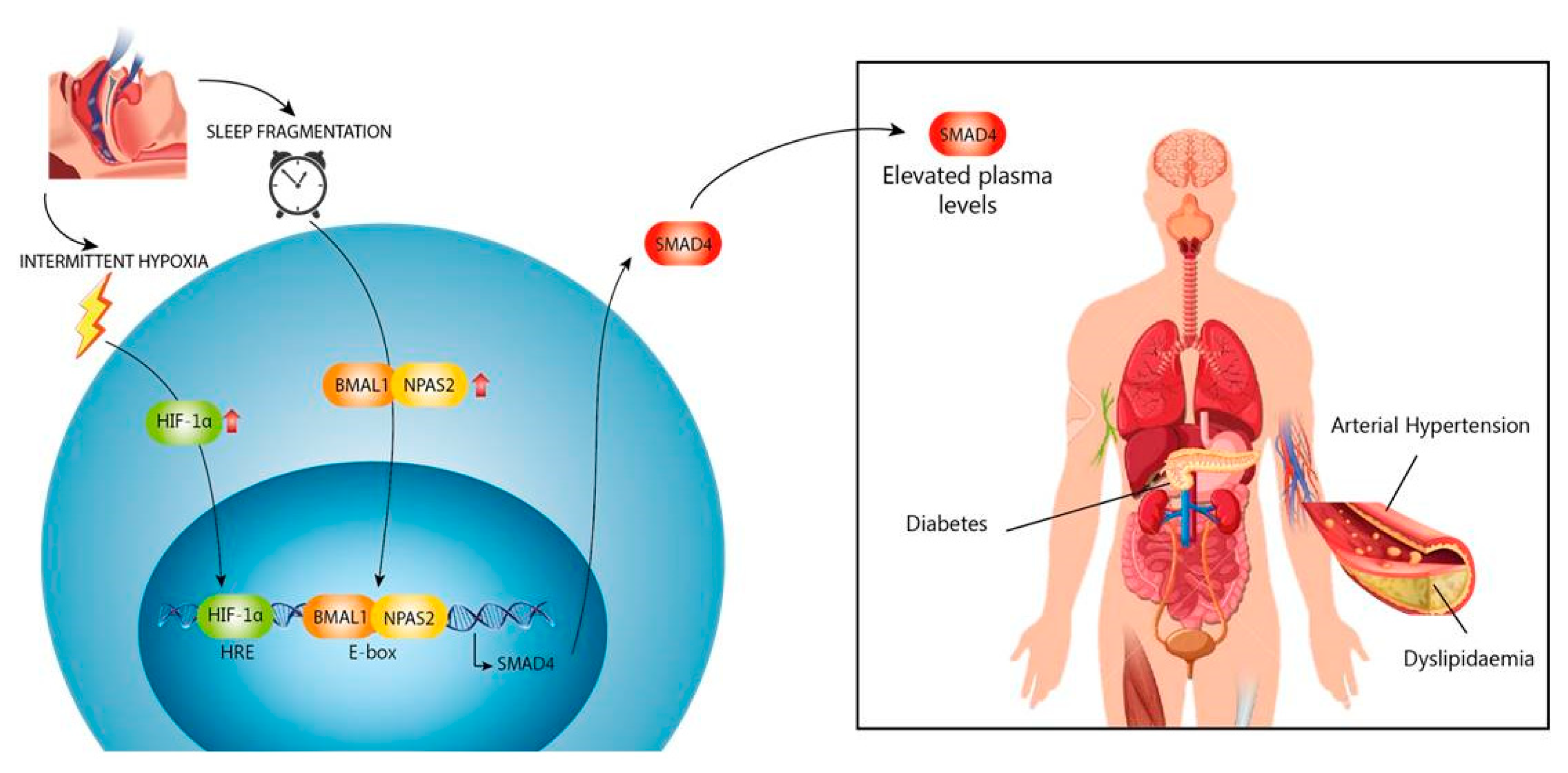Jcm 09 02378 g007 Jcm 09 02378 g007