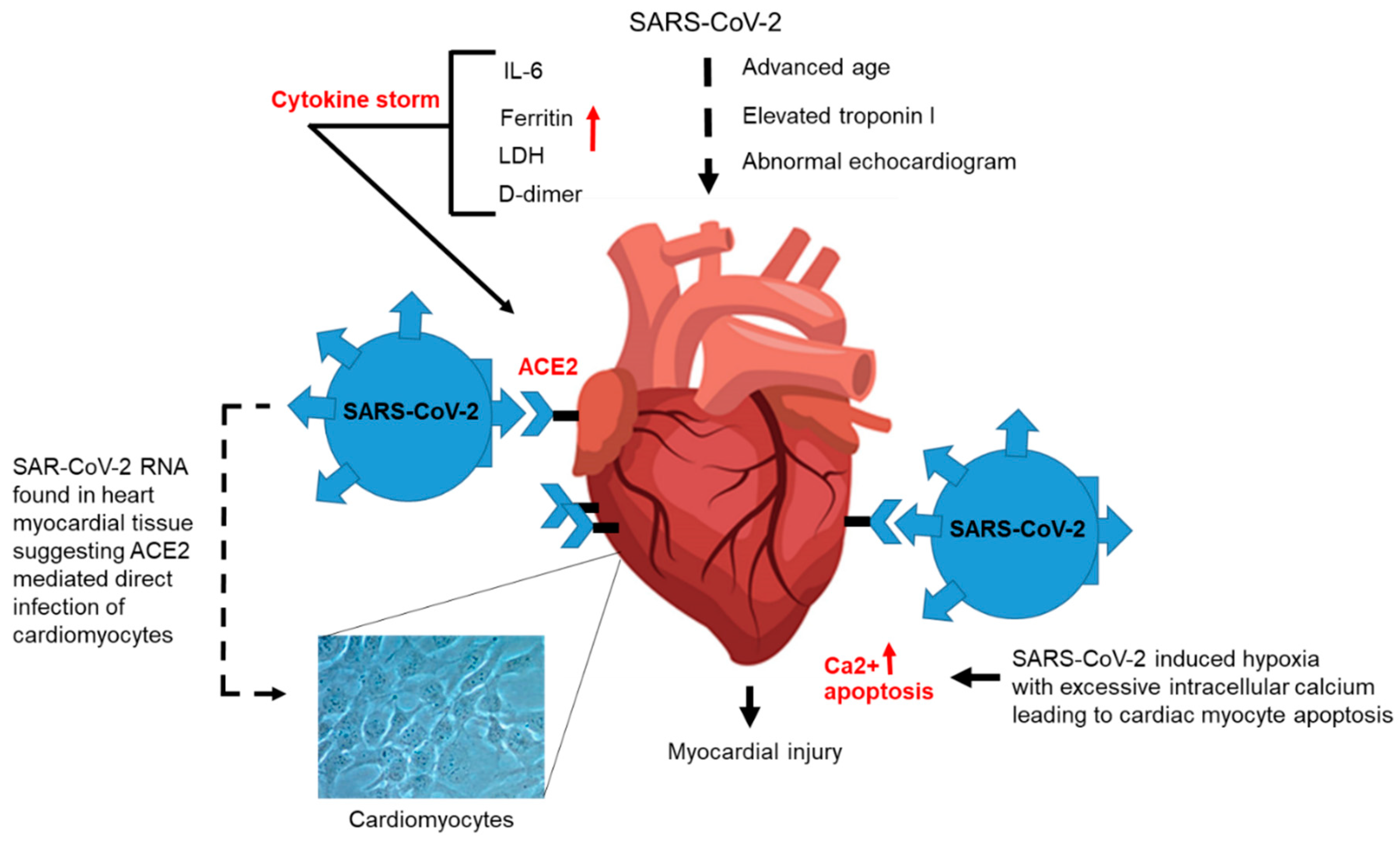Jcm 09 02442 g003 Jcm 09 02442 g003